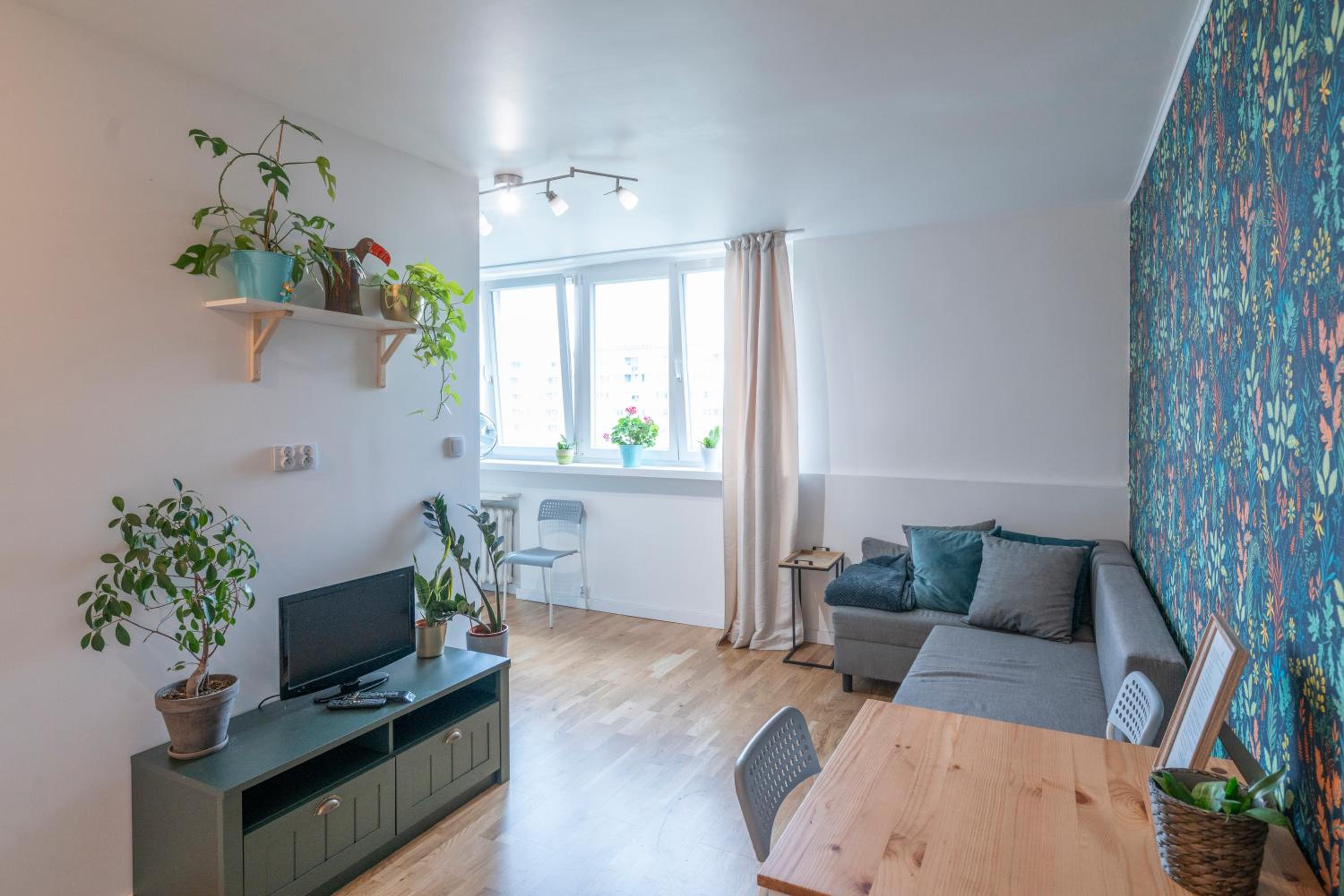 Green studio in the city center of Wroclaw, photo 2