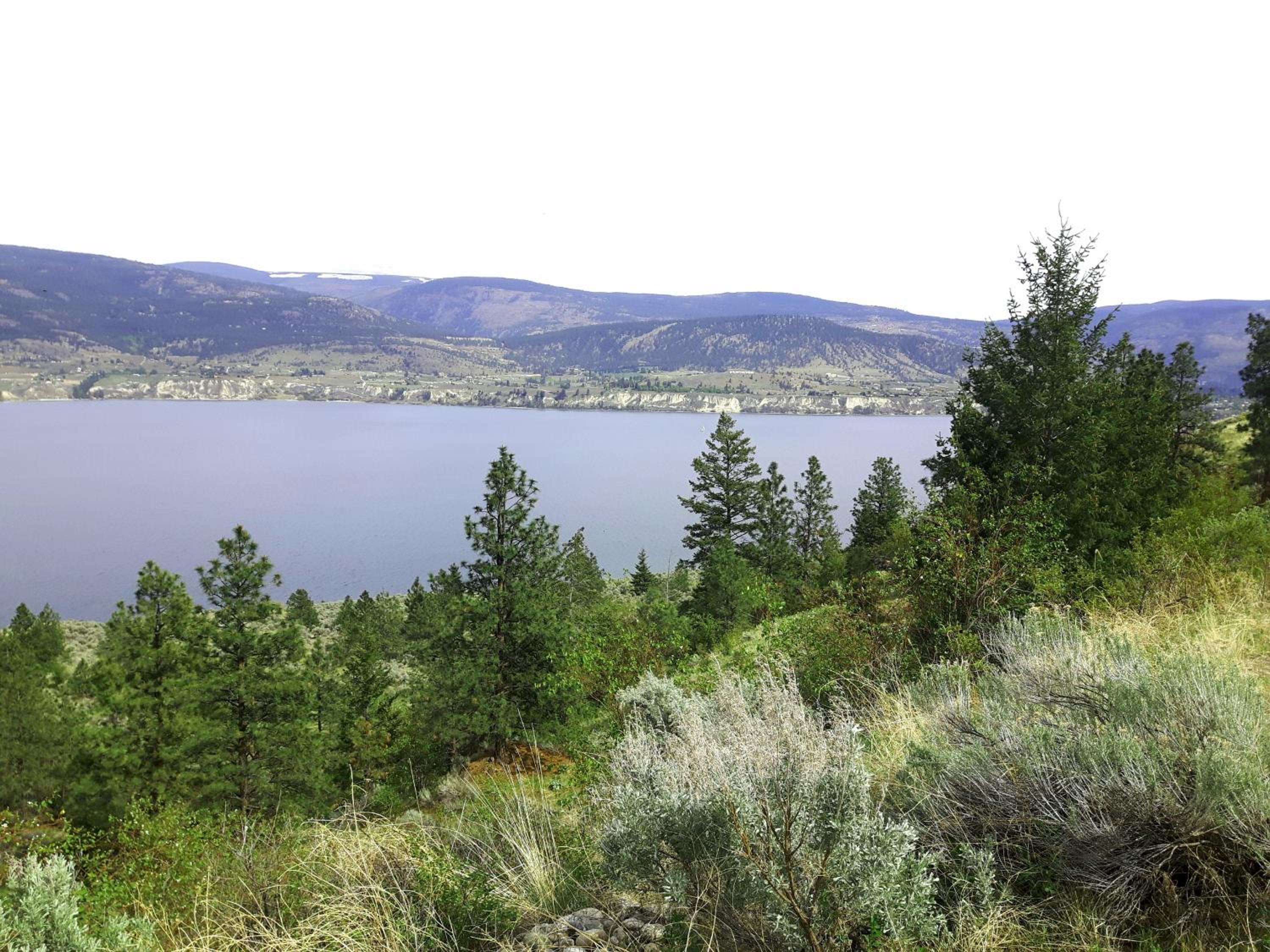 Comfy KING Bed, Large private Basement Suite, Smart TV in Penticton- city of PEACHES AND BEACHES