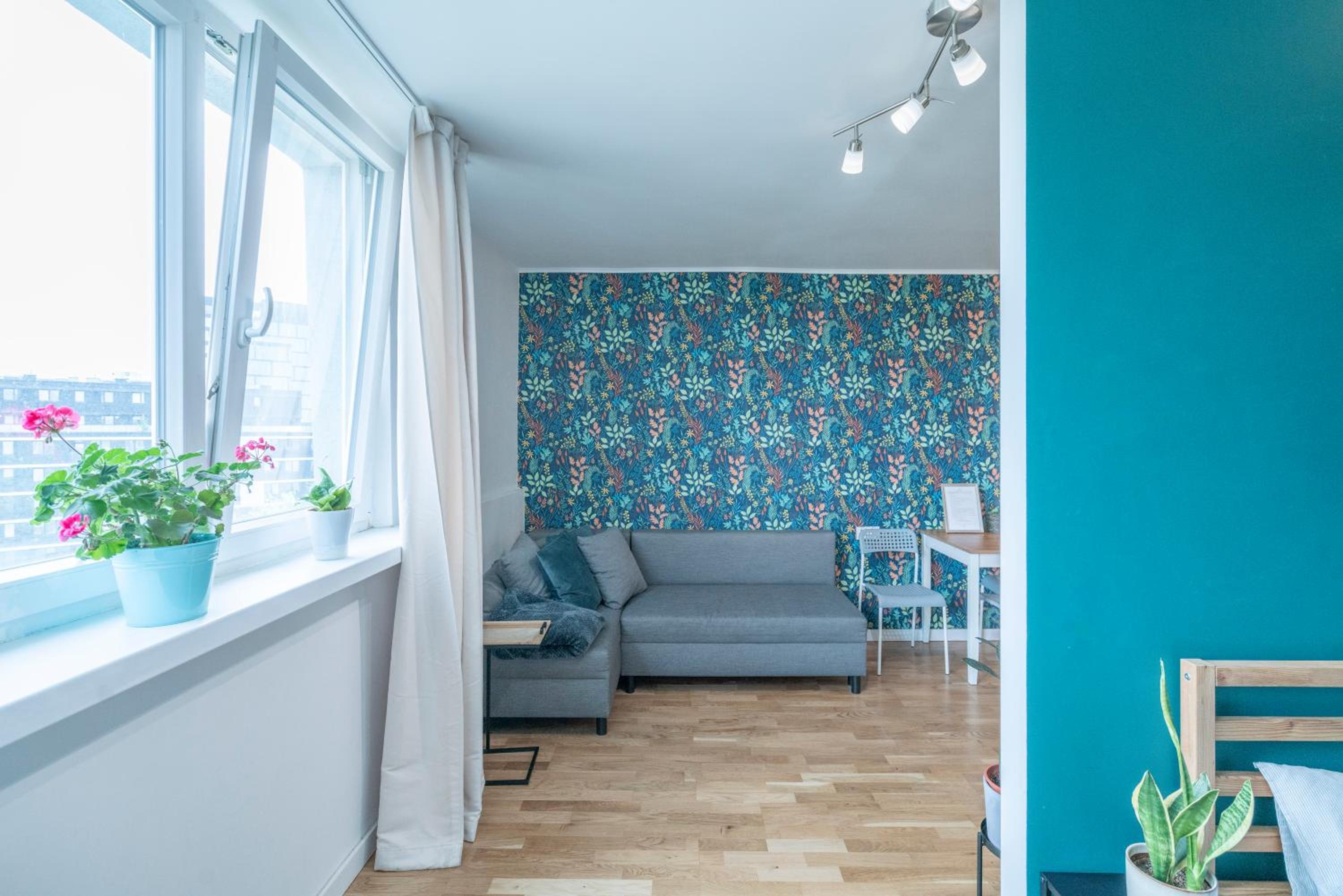 Green studio in the city center of Wroclaw, photo 3