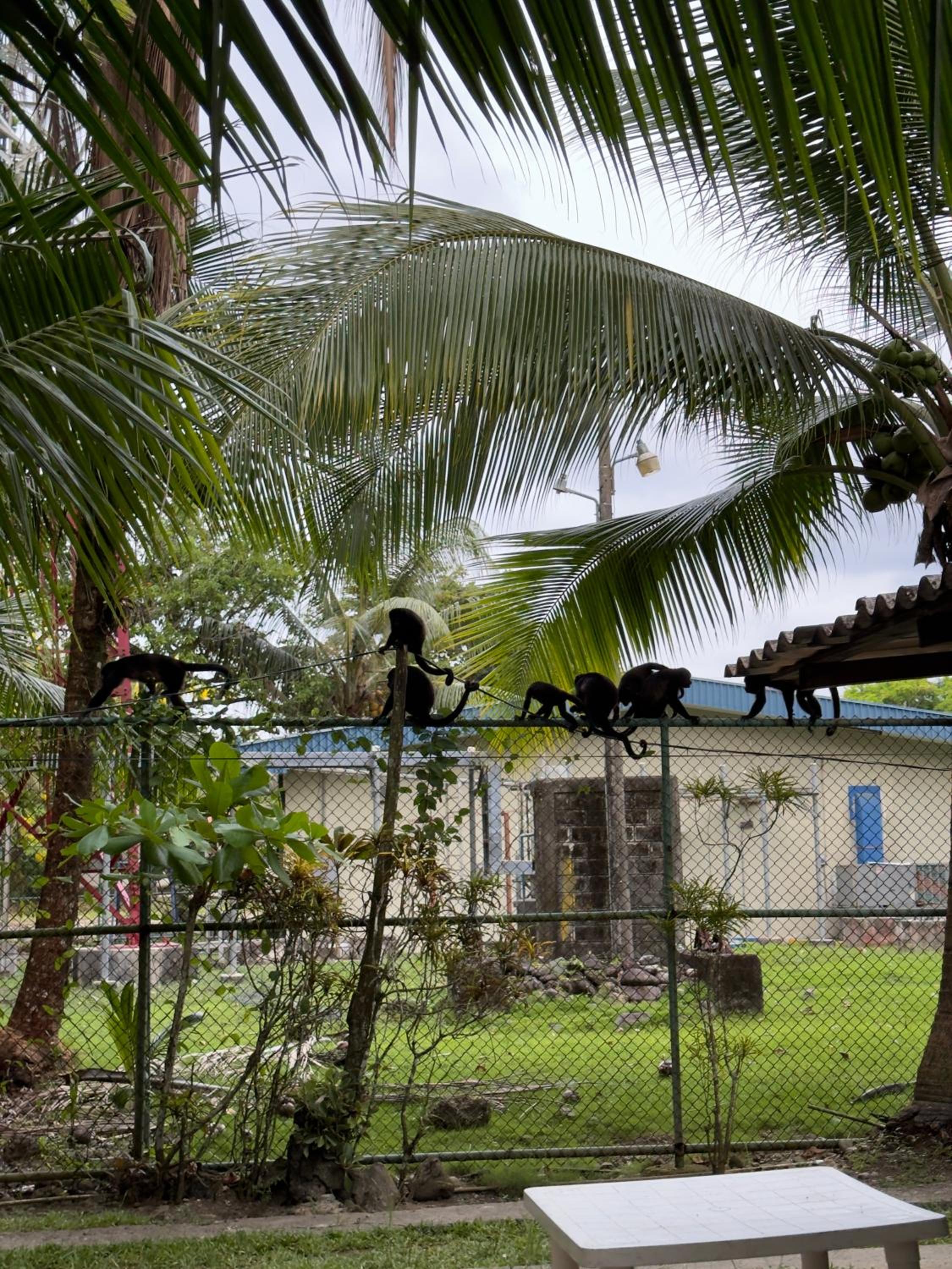 Casa Mamré