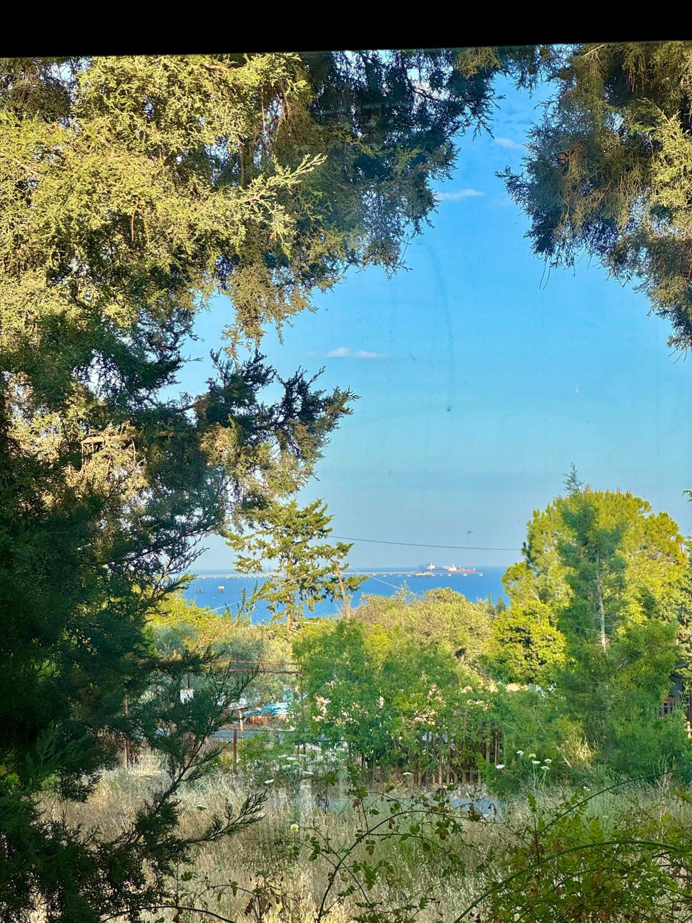 Bamboo sea view home