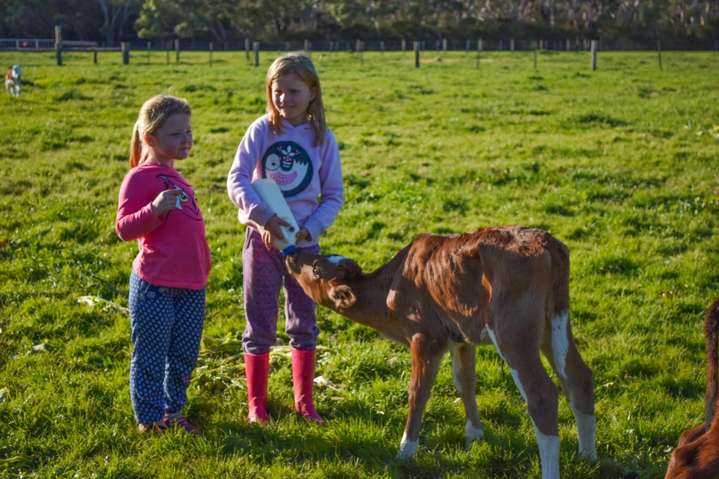 Freshwater Creek Cottages & Farm Stay