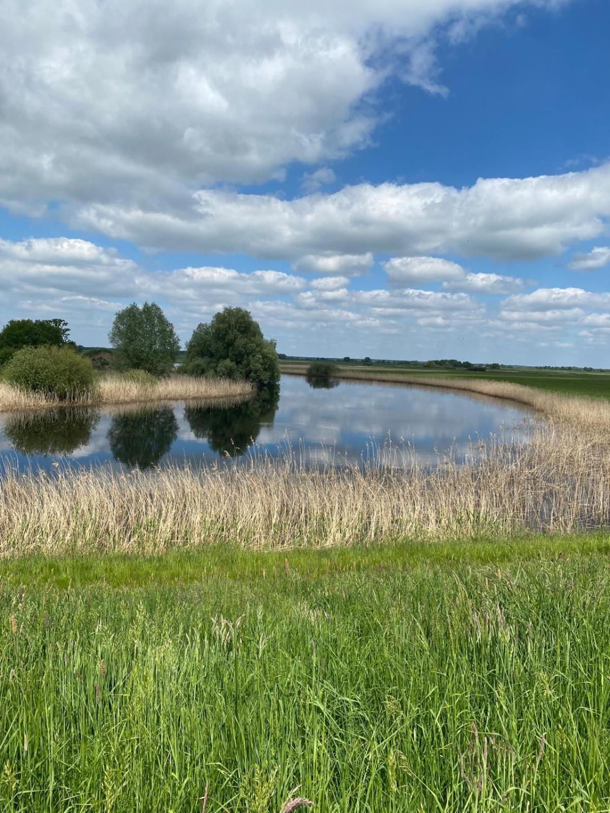 Landliebe Aulosen