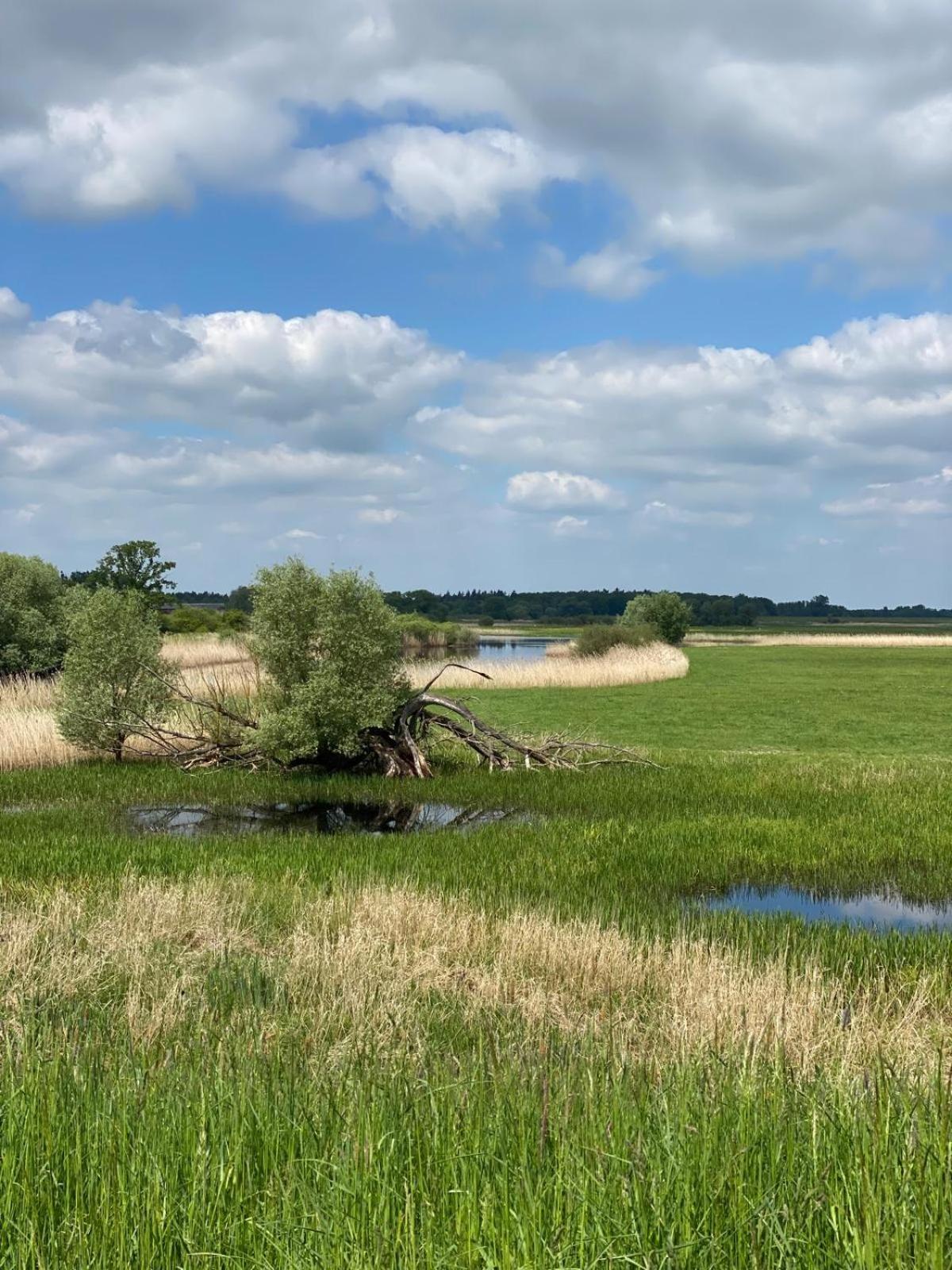 Landliebe Aulosen