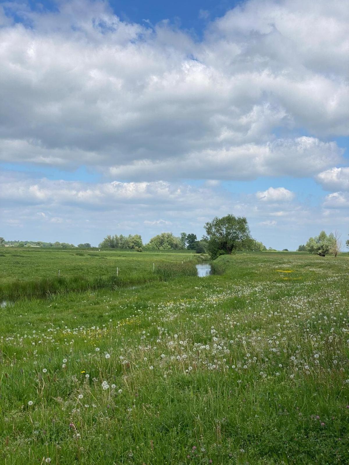 Landliebe Aulosen