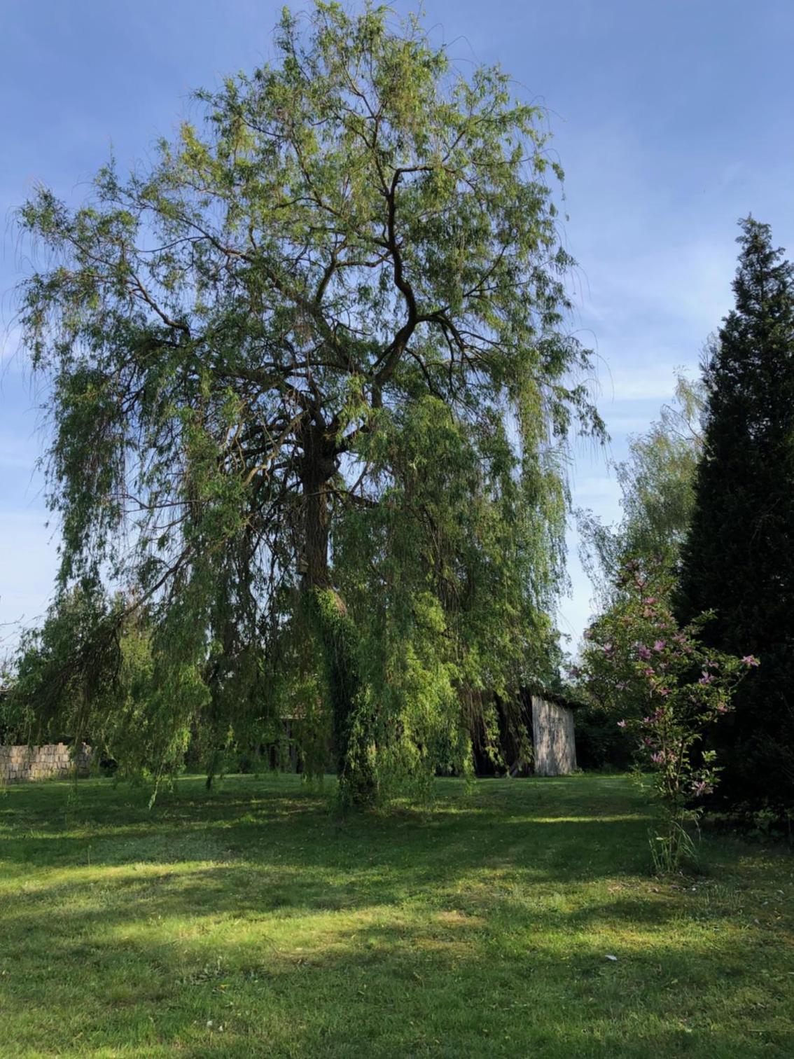 Landliebe Aulosen