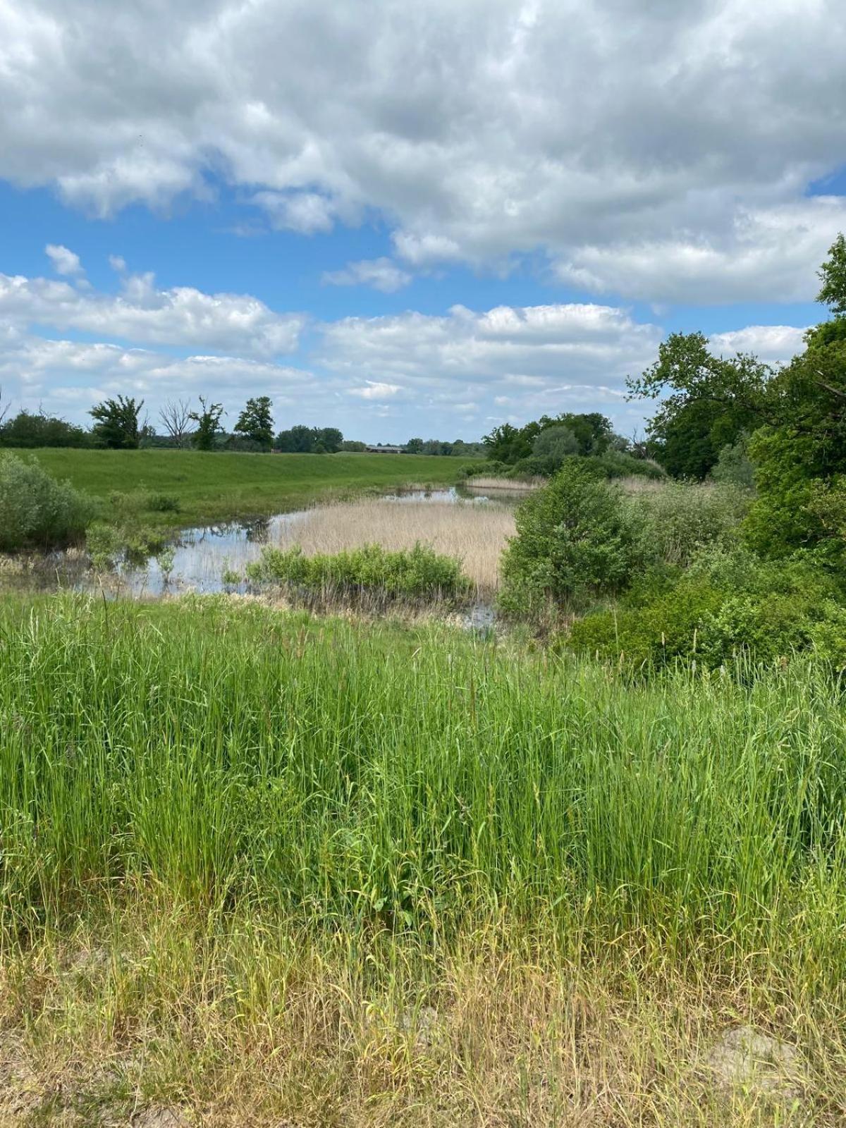 Landliebe Aulosen