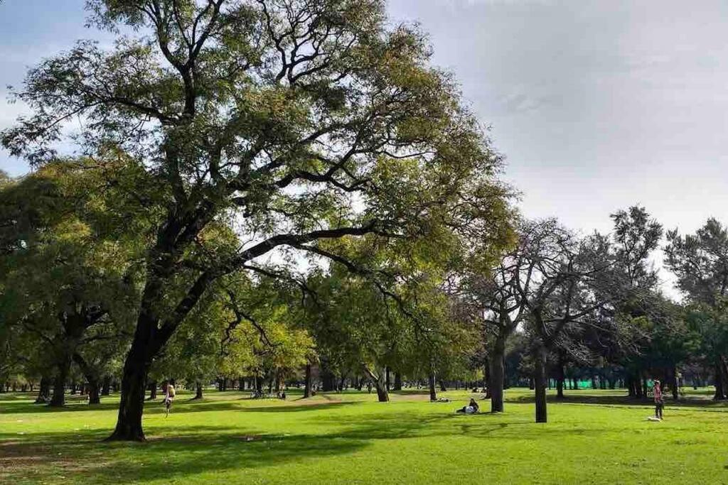 Apartamento con Hermosa Vista en Palermo Botanico