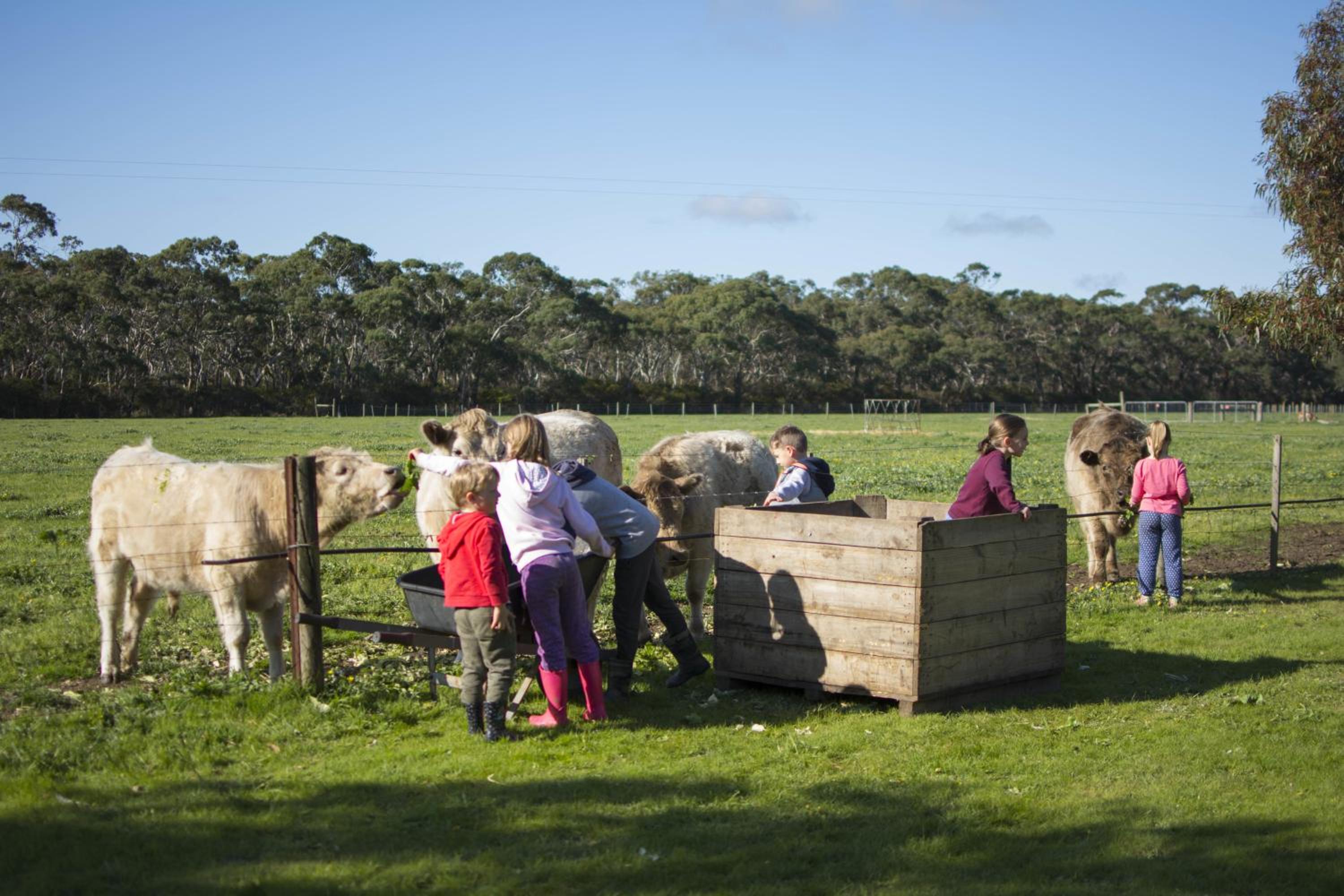 Freshwater Creek Cottages & Farm Stay