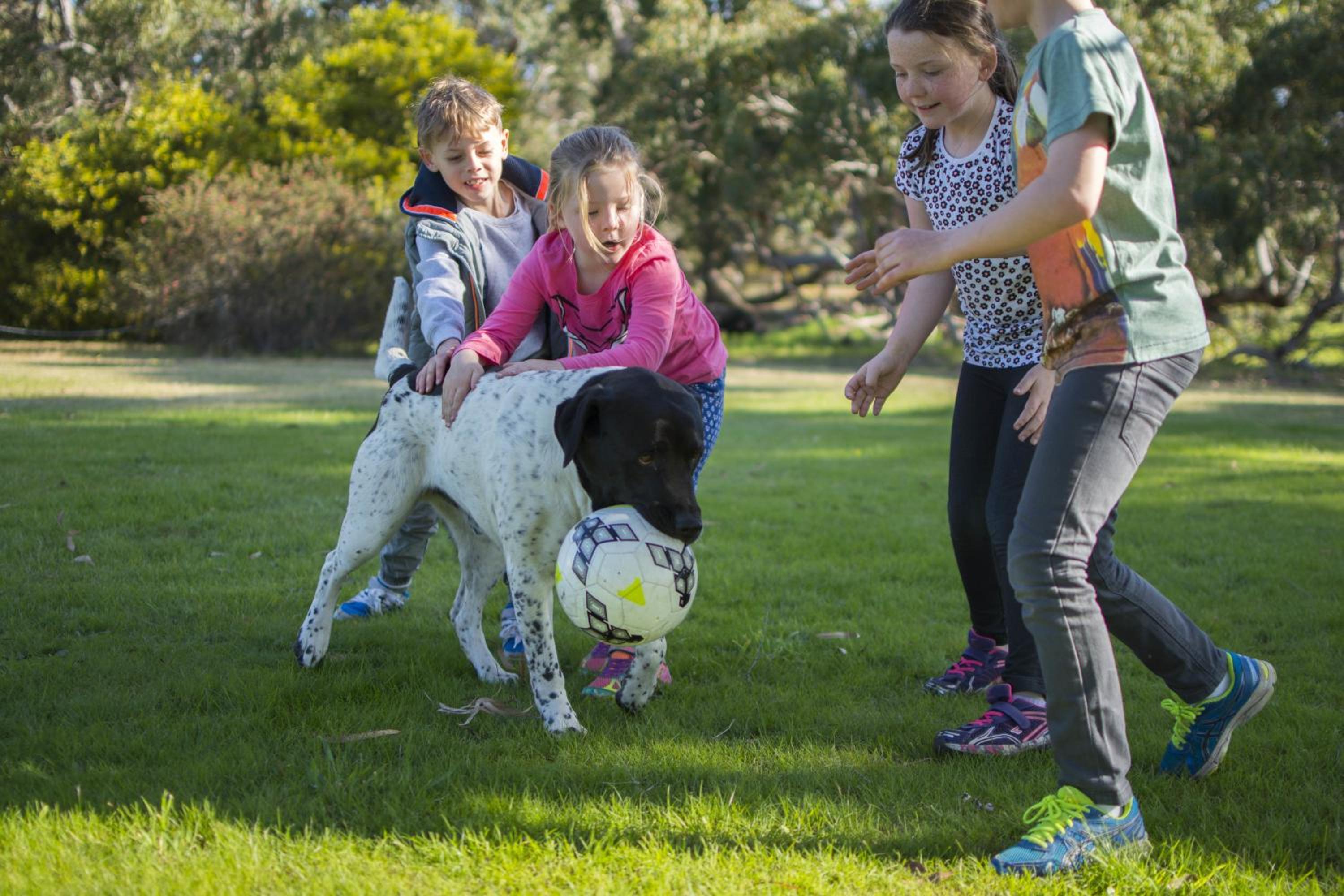 Freshwater Creek Cottages & Farm Stay