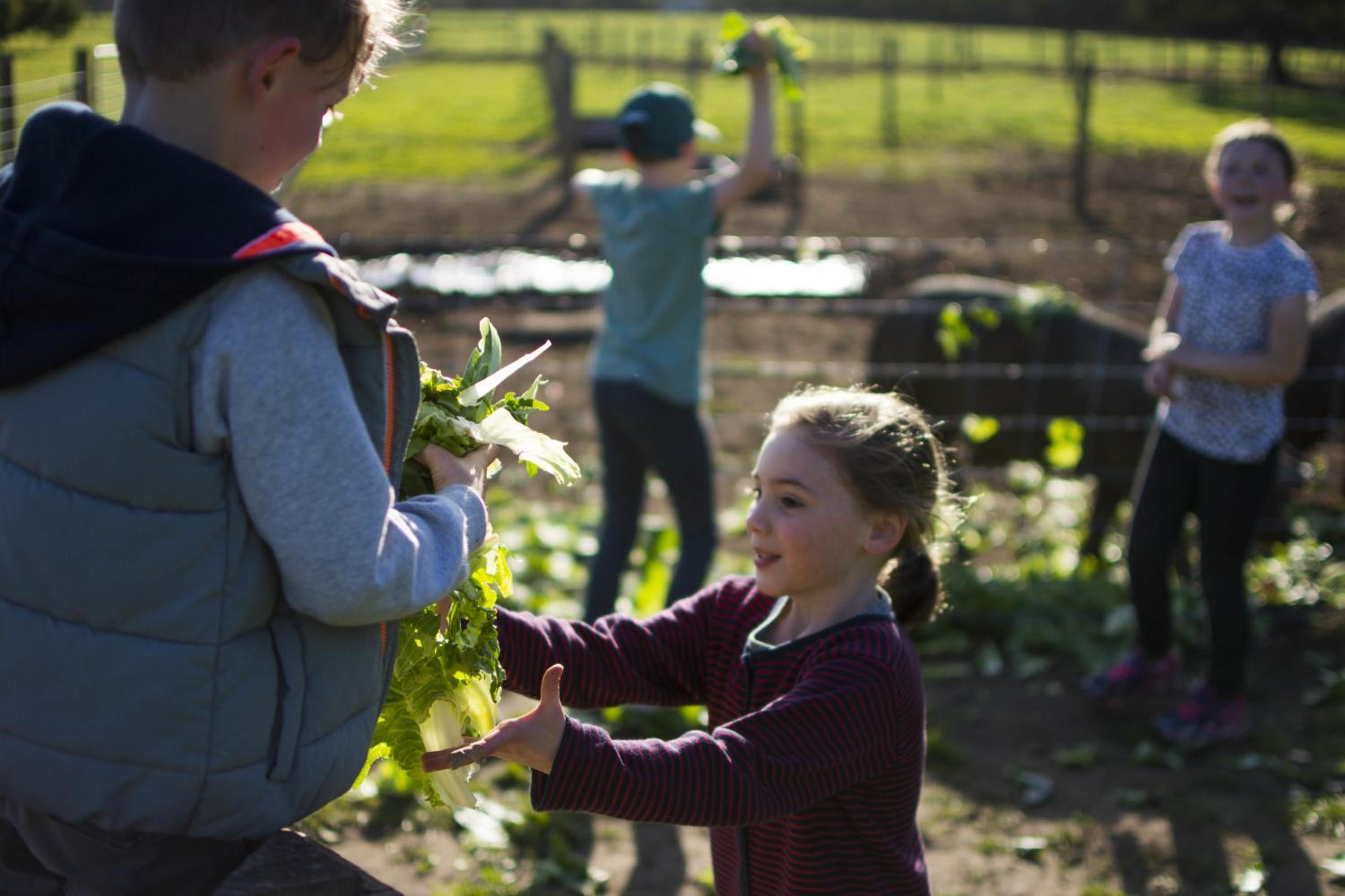 Freshwater Creek Cottages & Farm Stay