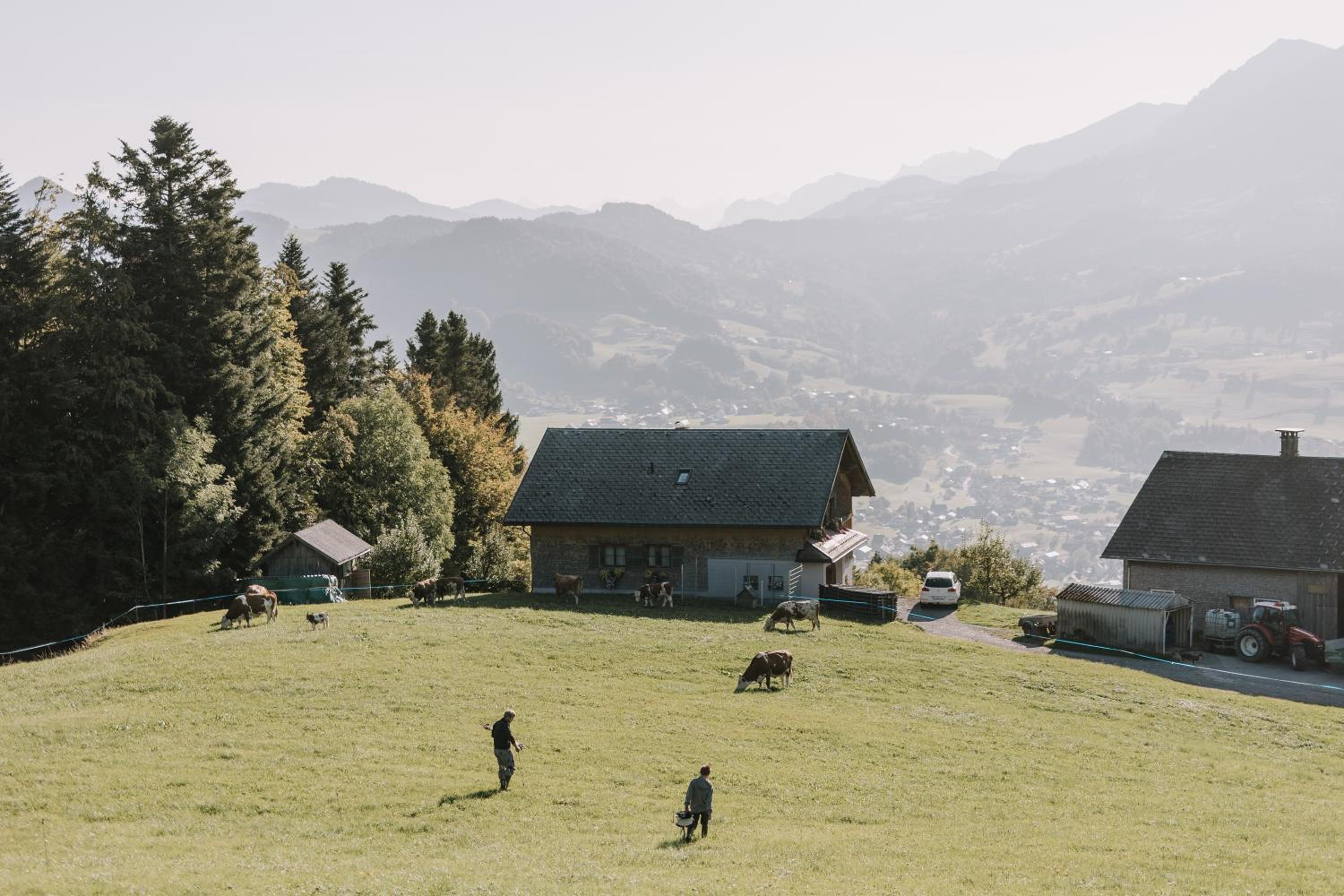 Haus Alpenrose