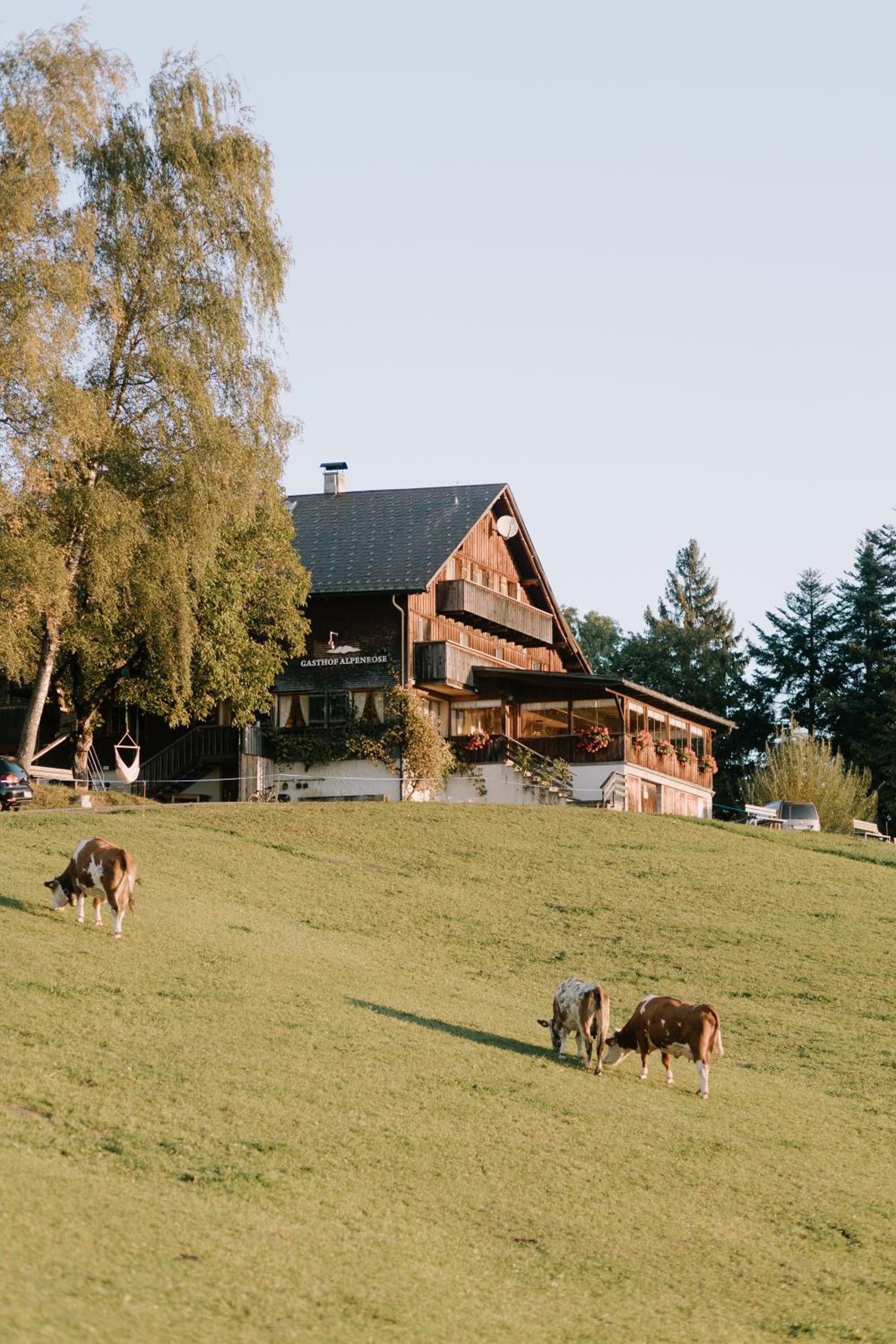 Haus Alpenrose