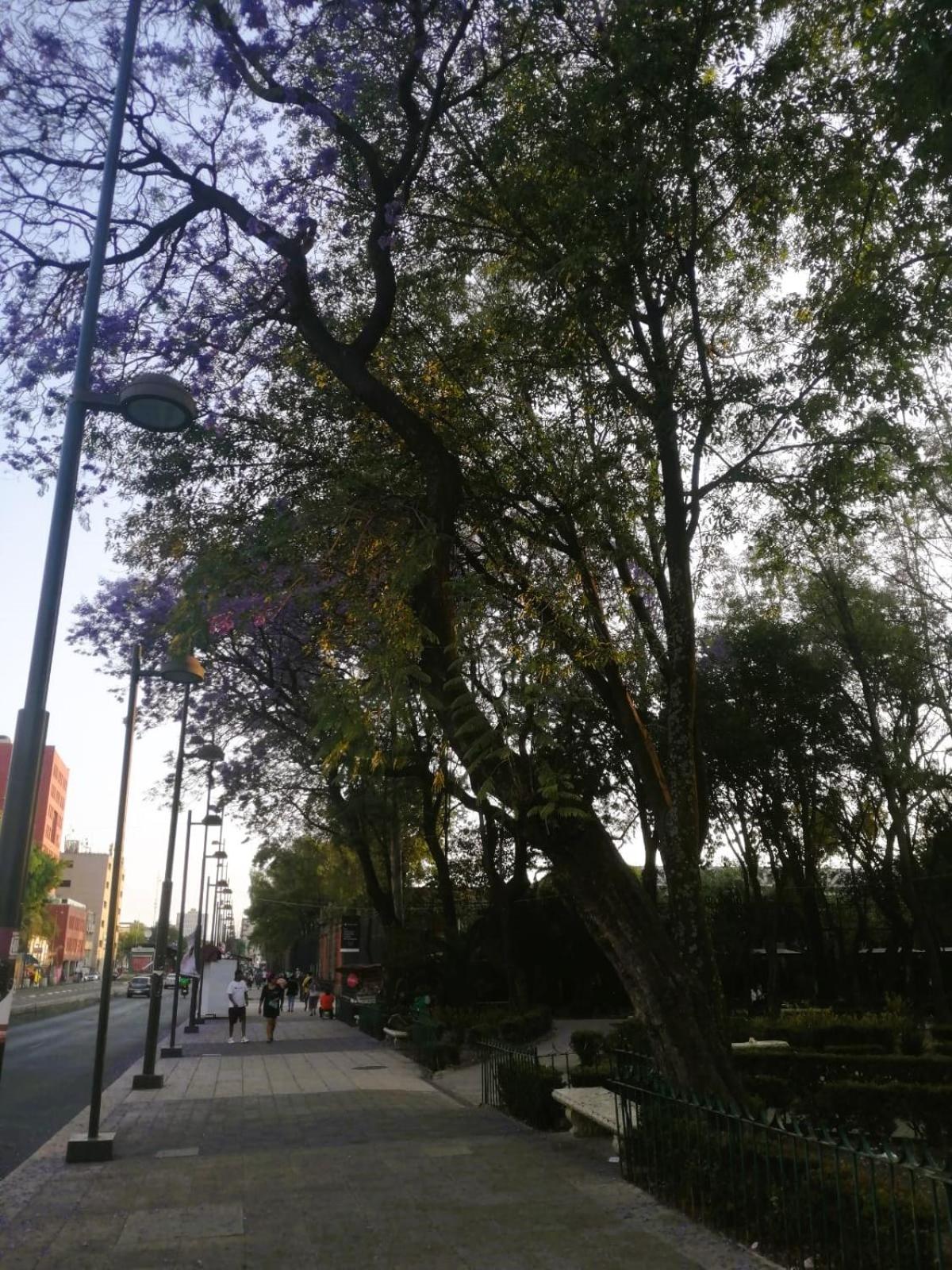 Hospedaje Lahun