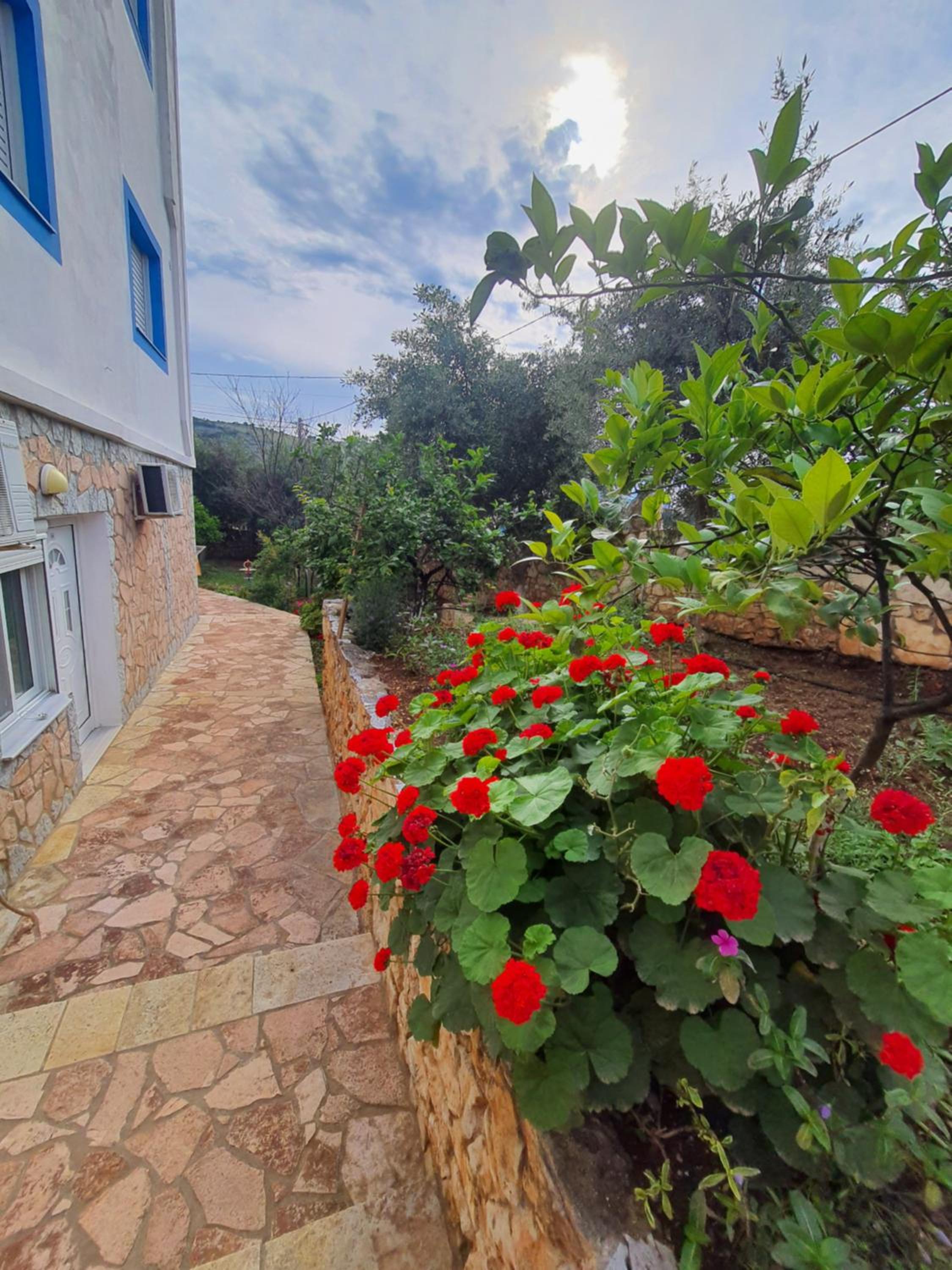 Vila Albi