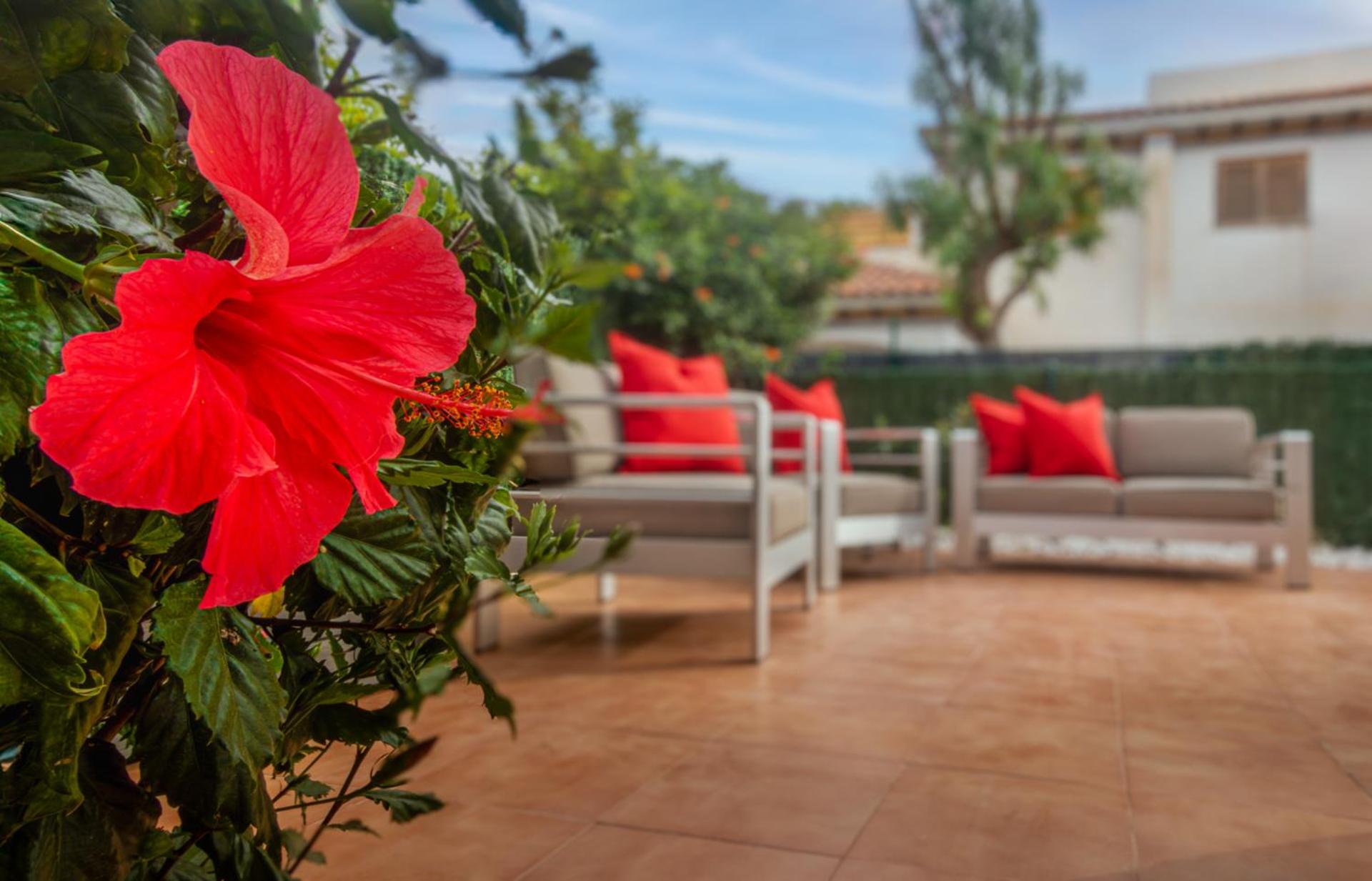 Amigos II at Veramar 6 photo 4