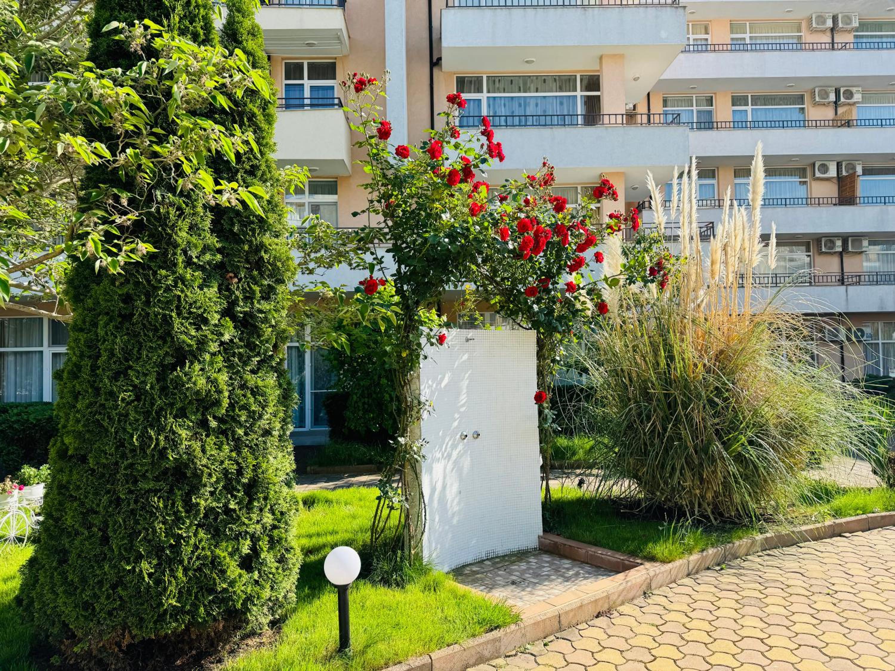GRAND KAMELIA B 2,8 Large Studio Sunny Beach