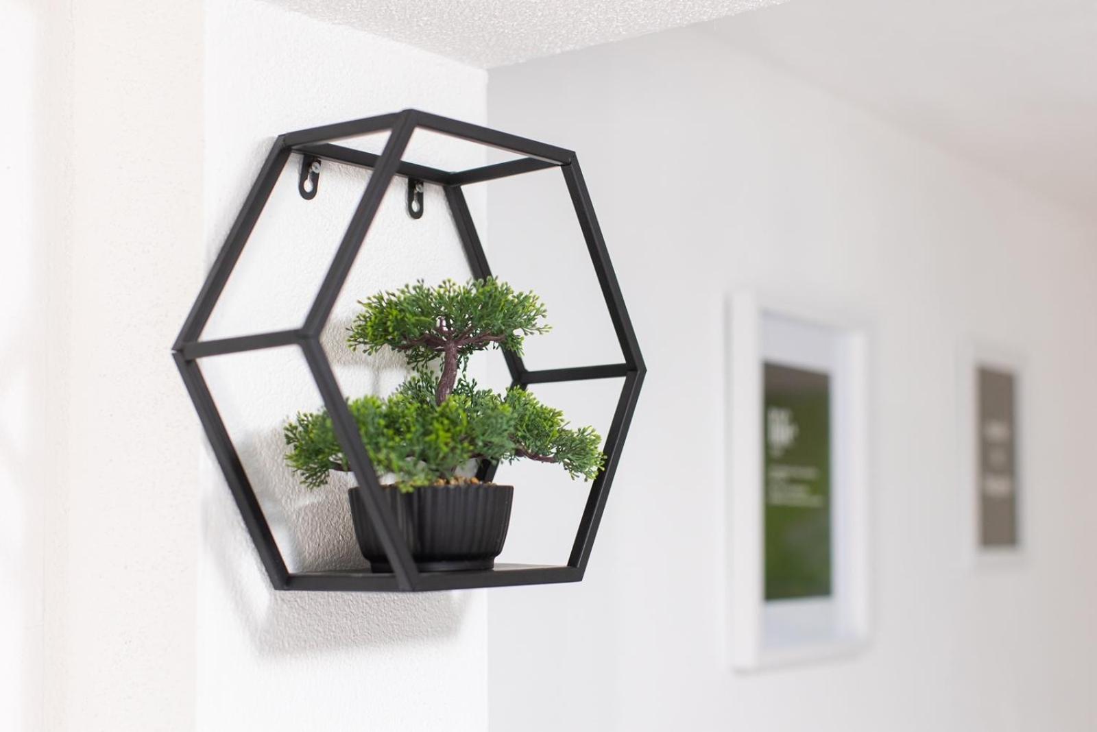 Apartmani Marin