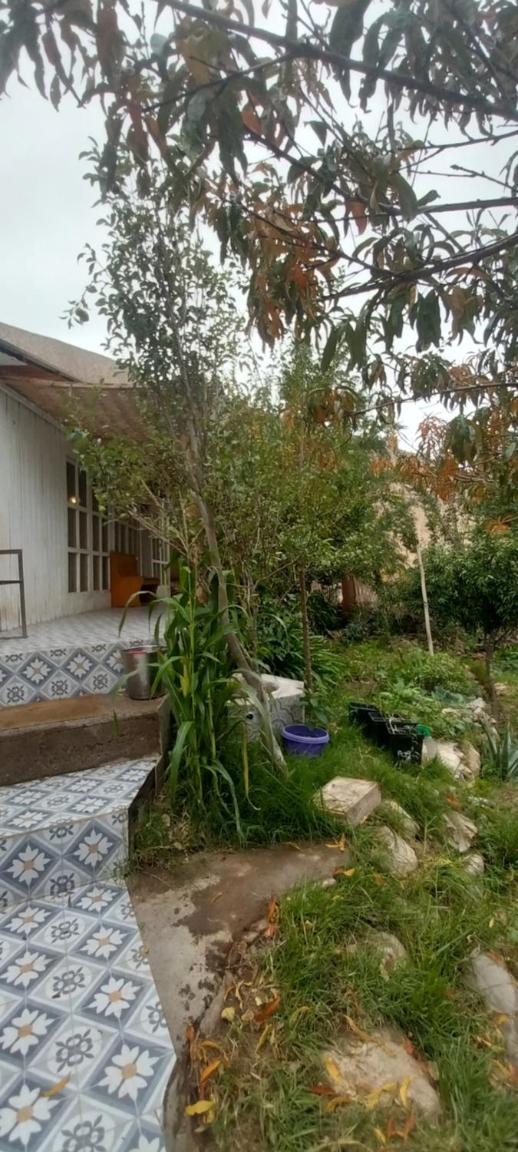 Hostal Acuariano Piscoelqui