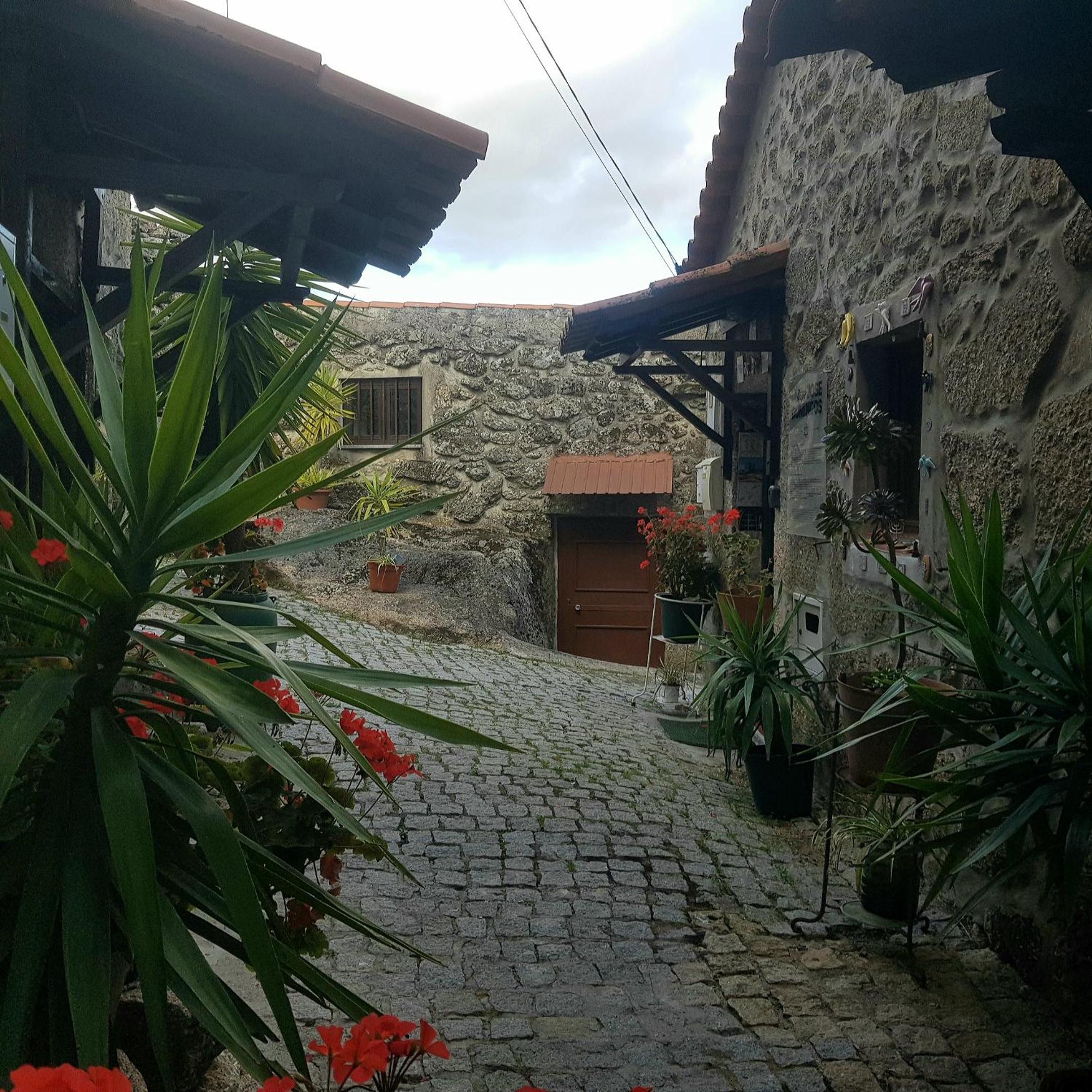 José Domingos view 4