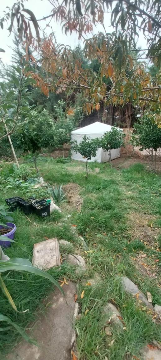 Hostal Acuariano Piscoelqui