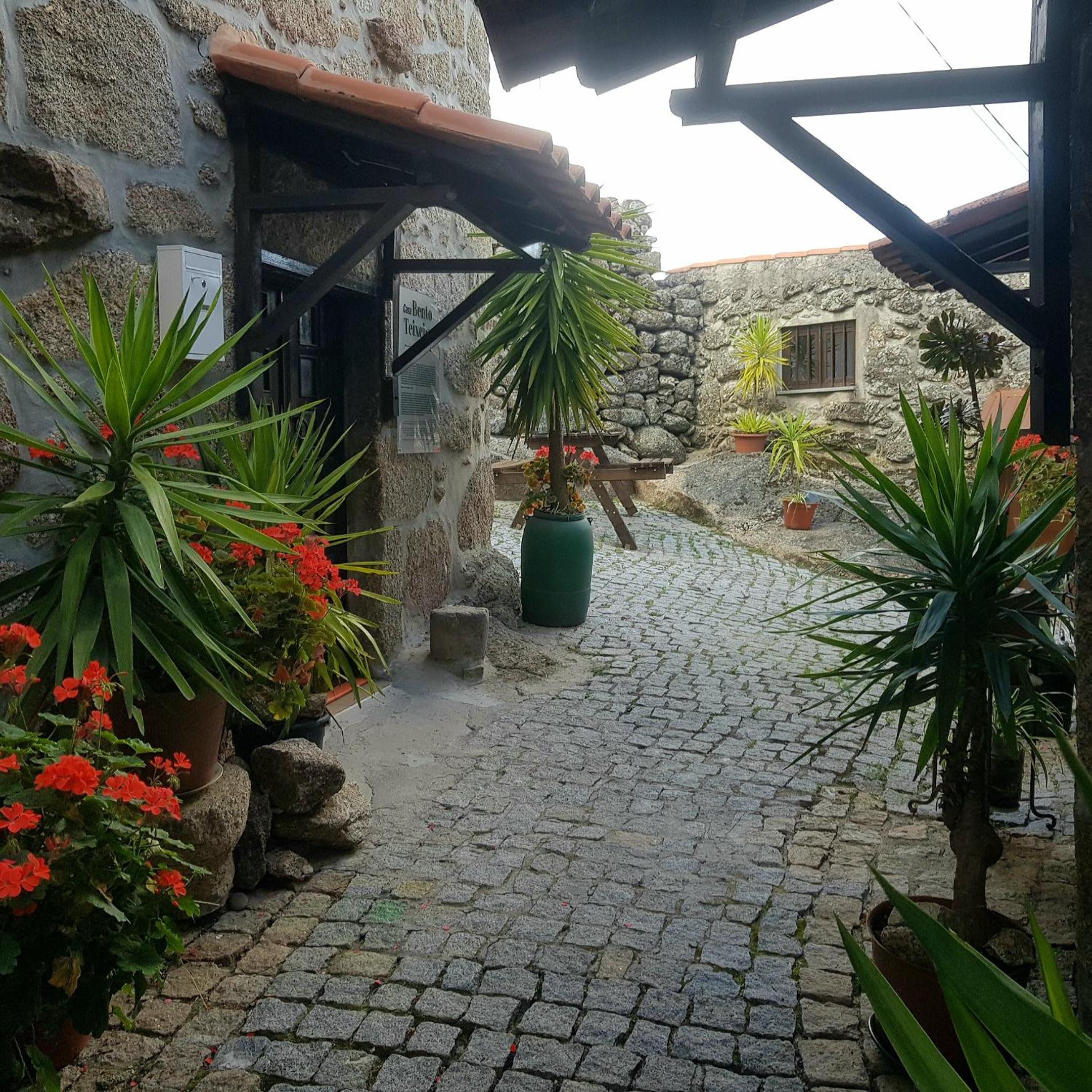 José Domingos view 3