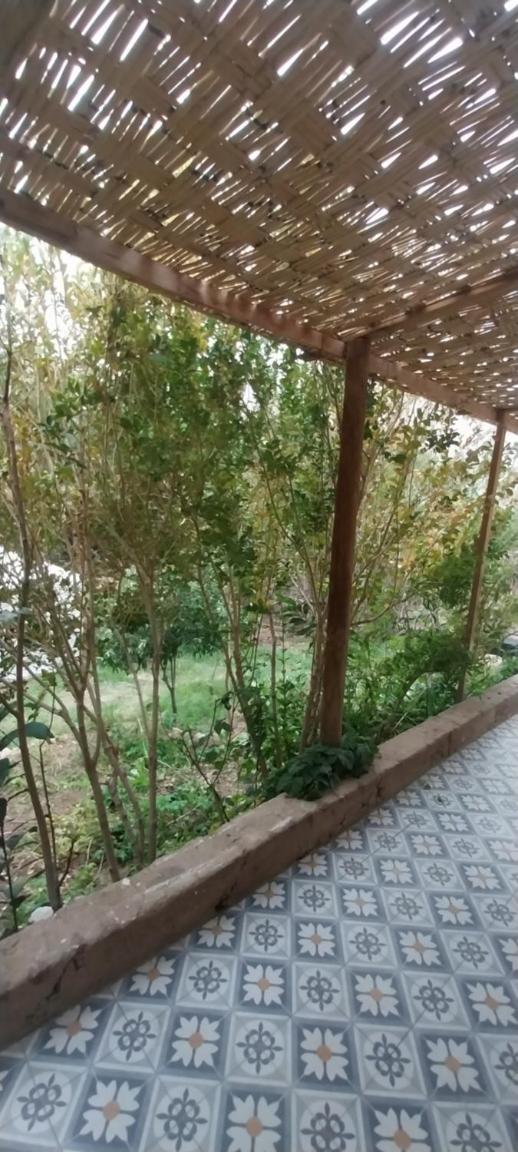 Hostal Acuariano Piscoelqui