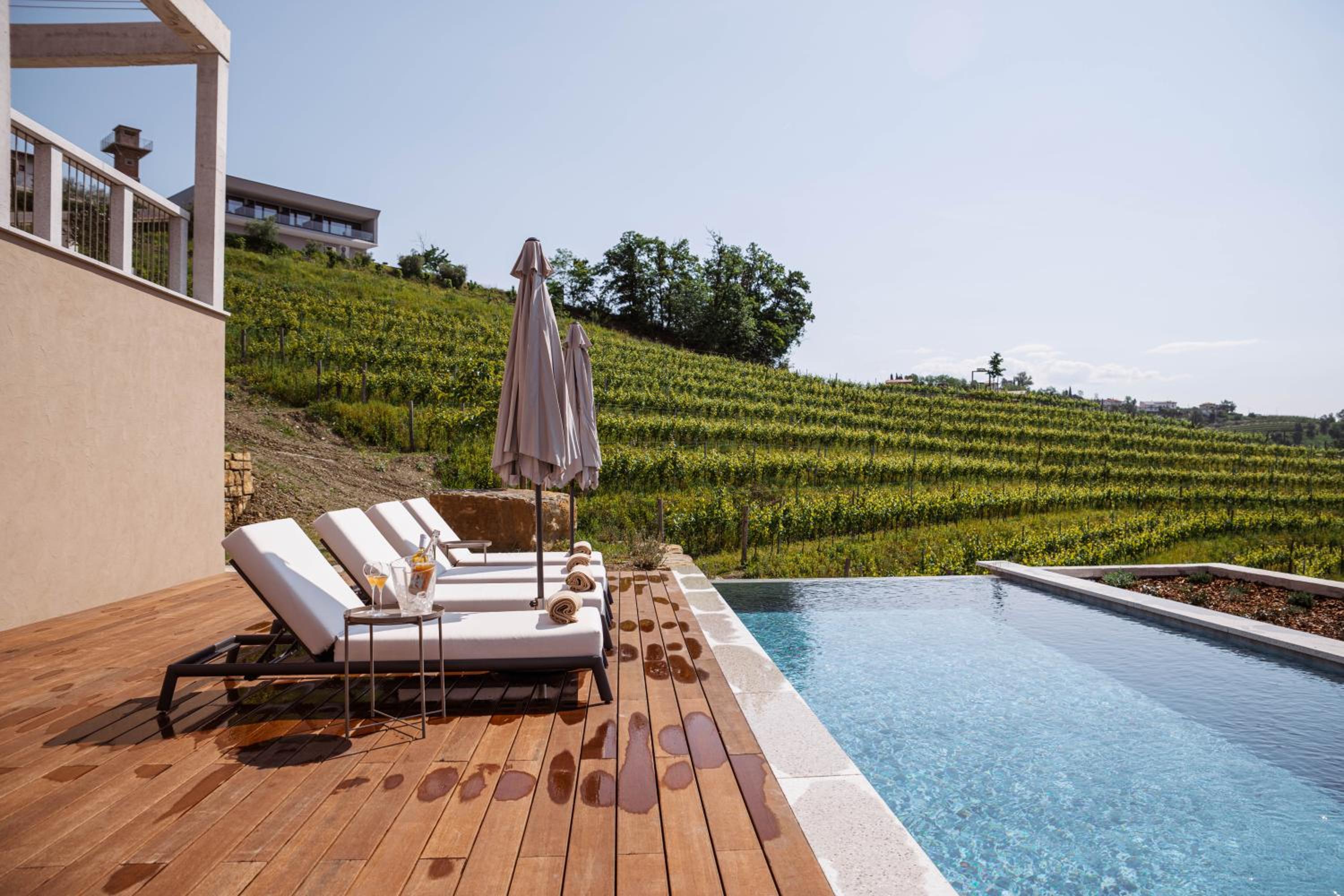 Posestvo Ščurek wine