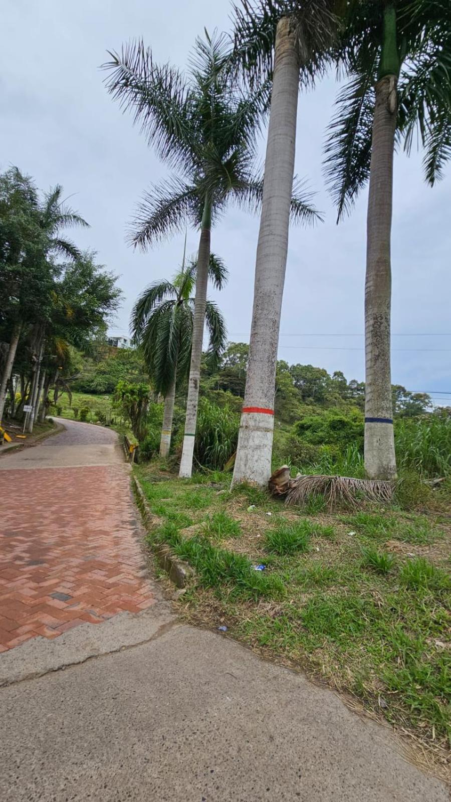 Casa vacacional Estadía Primaveral