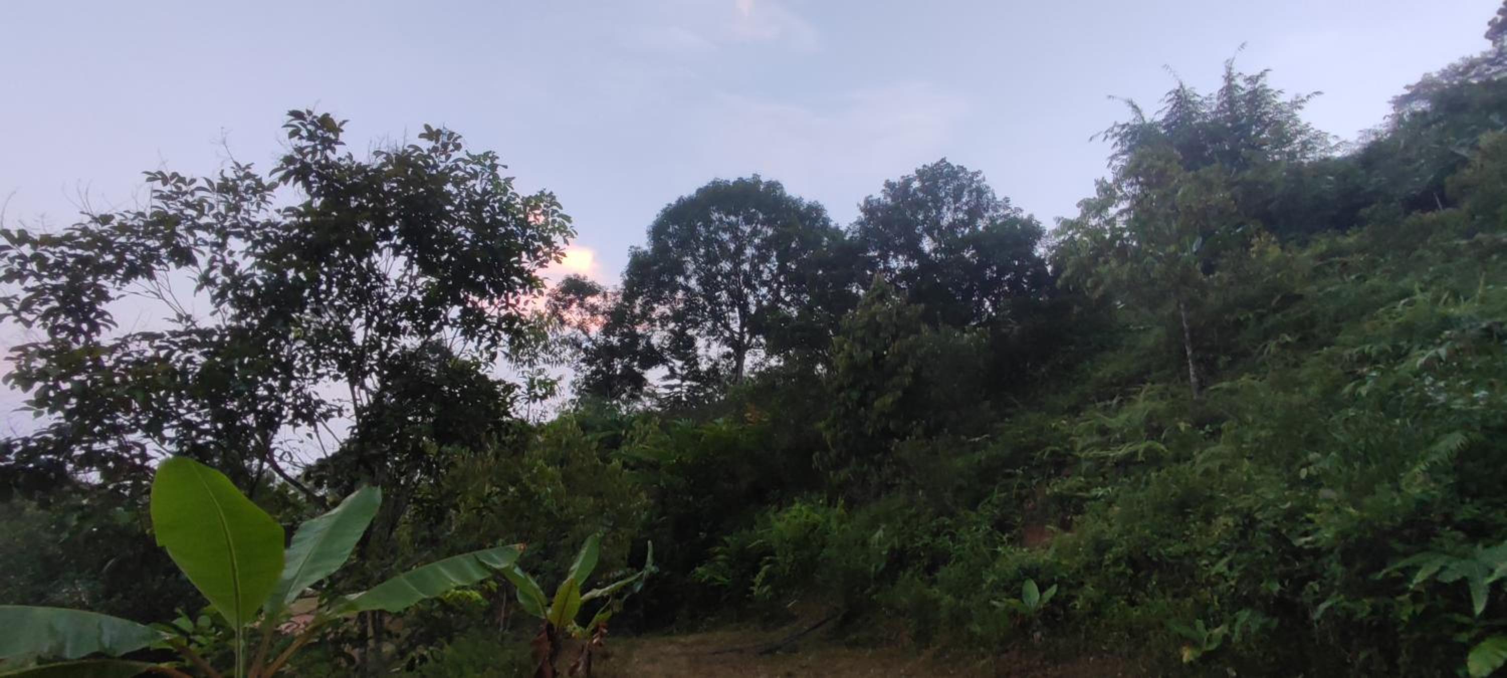 Panorama at DPuncakLui Chalet
