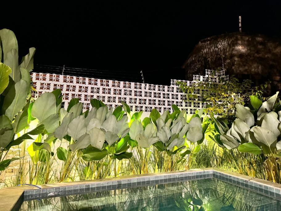 Casa Matutina Colonial-Conforto Moderno no Centro Histórico