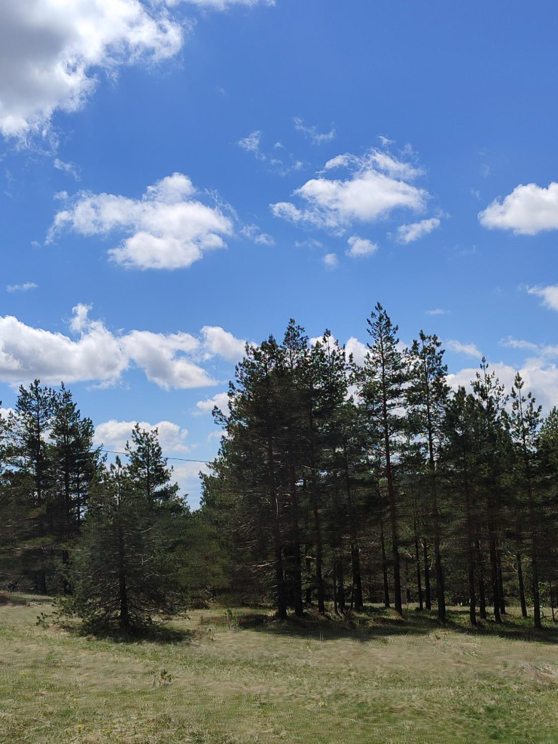 Zimska idila Divcibare view 5
