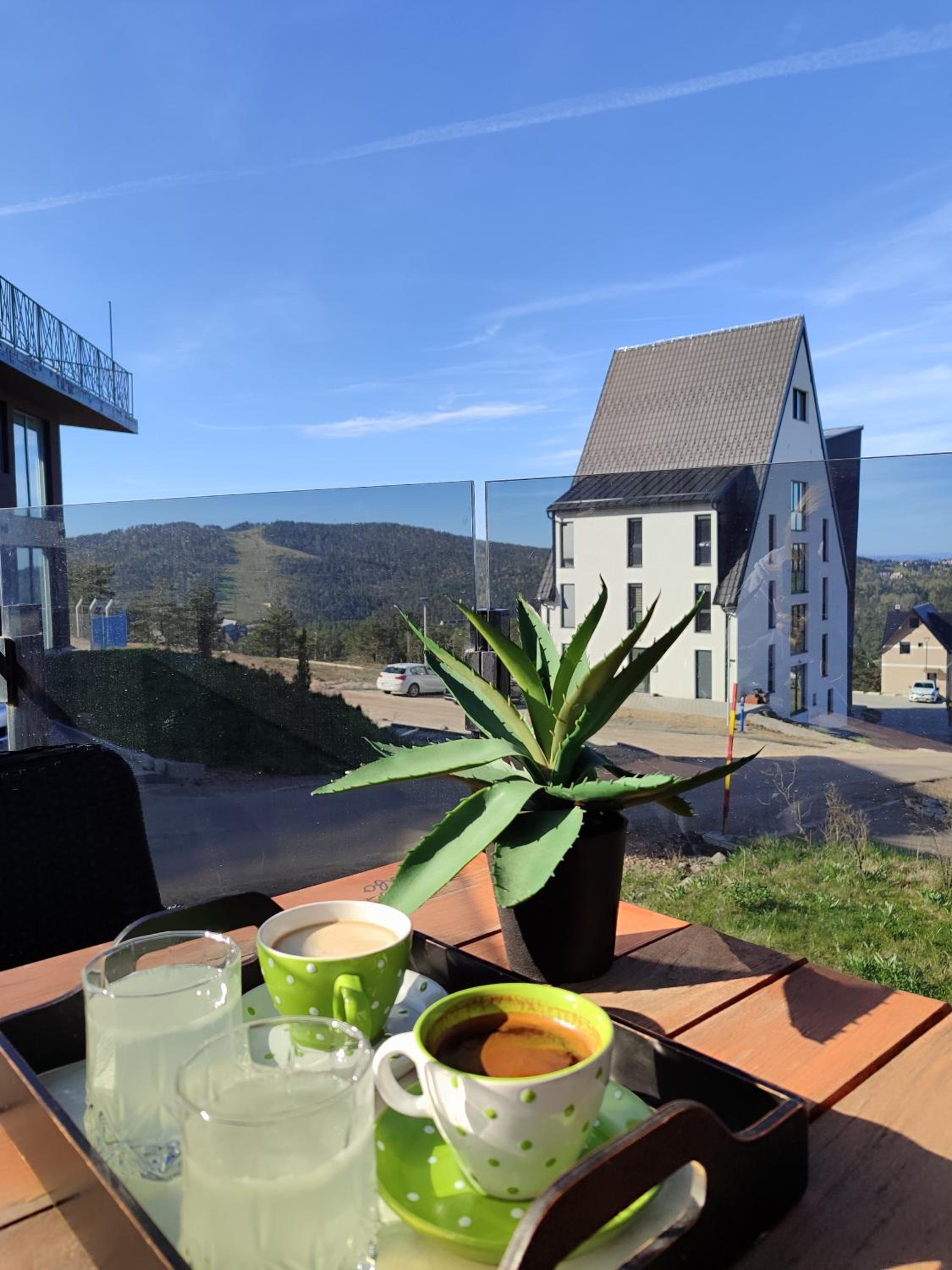 Zimska idila Divcibare view 4