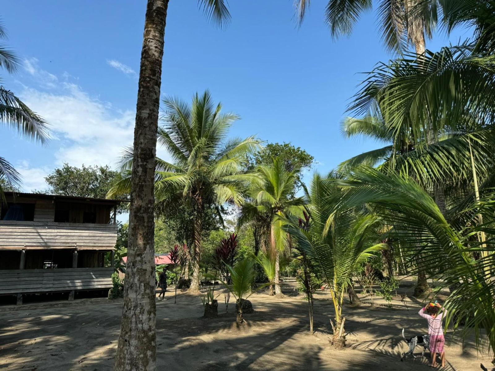 HOSPEDAJE DOÑA NEL