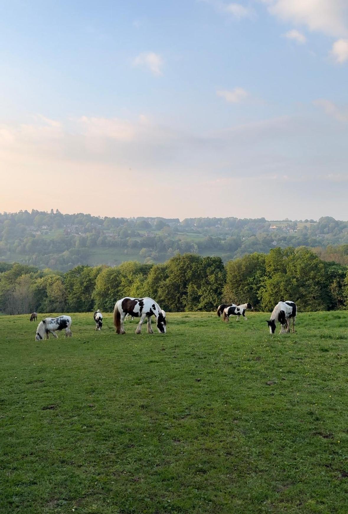 Cupcake Cottage: Quintessential Cotswold Cottage