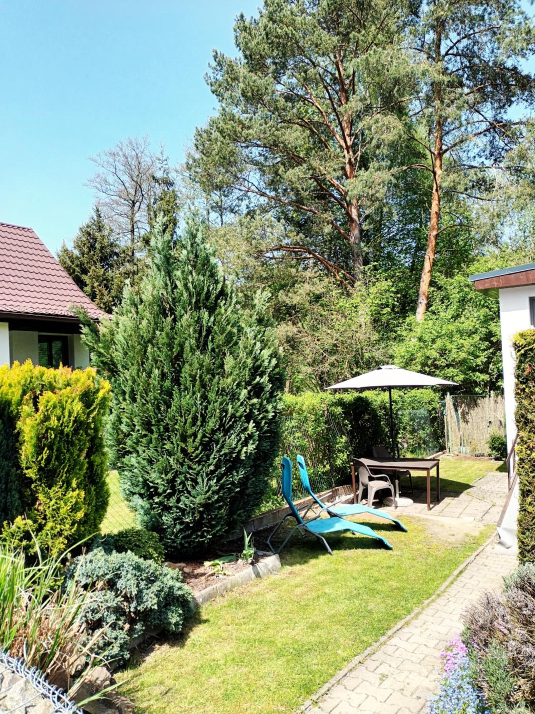 Randy's House Plzeň