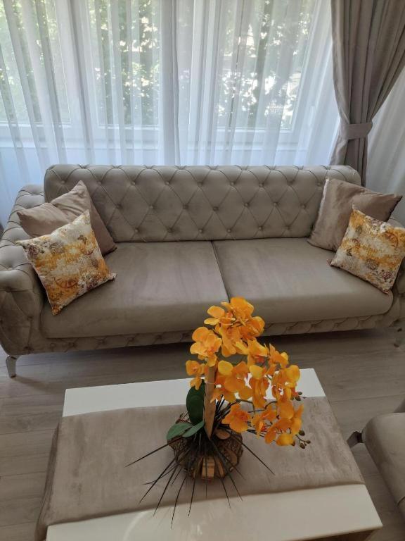 City lux apartment Skopje