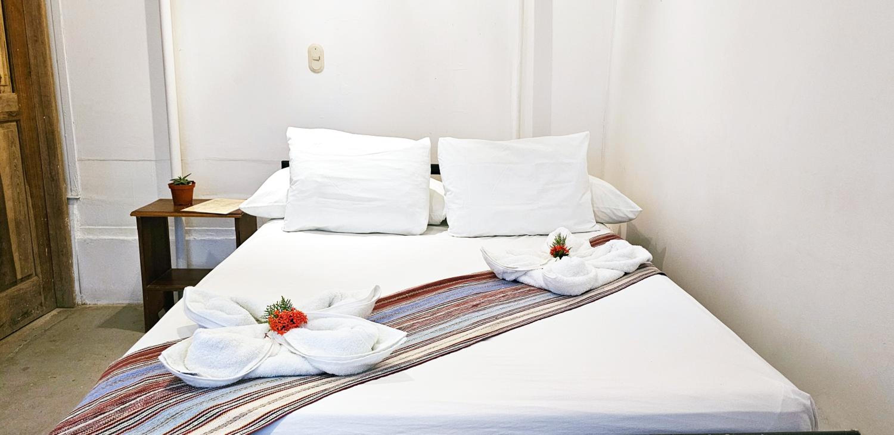 Casa Oro Eco Hostel