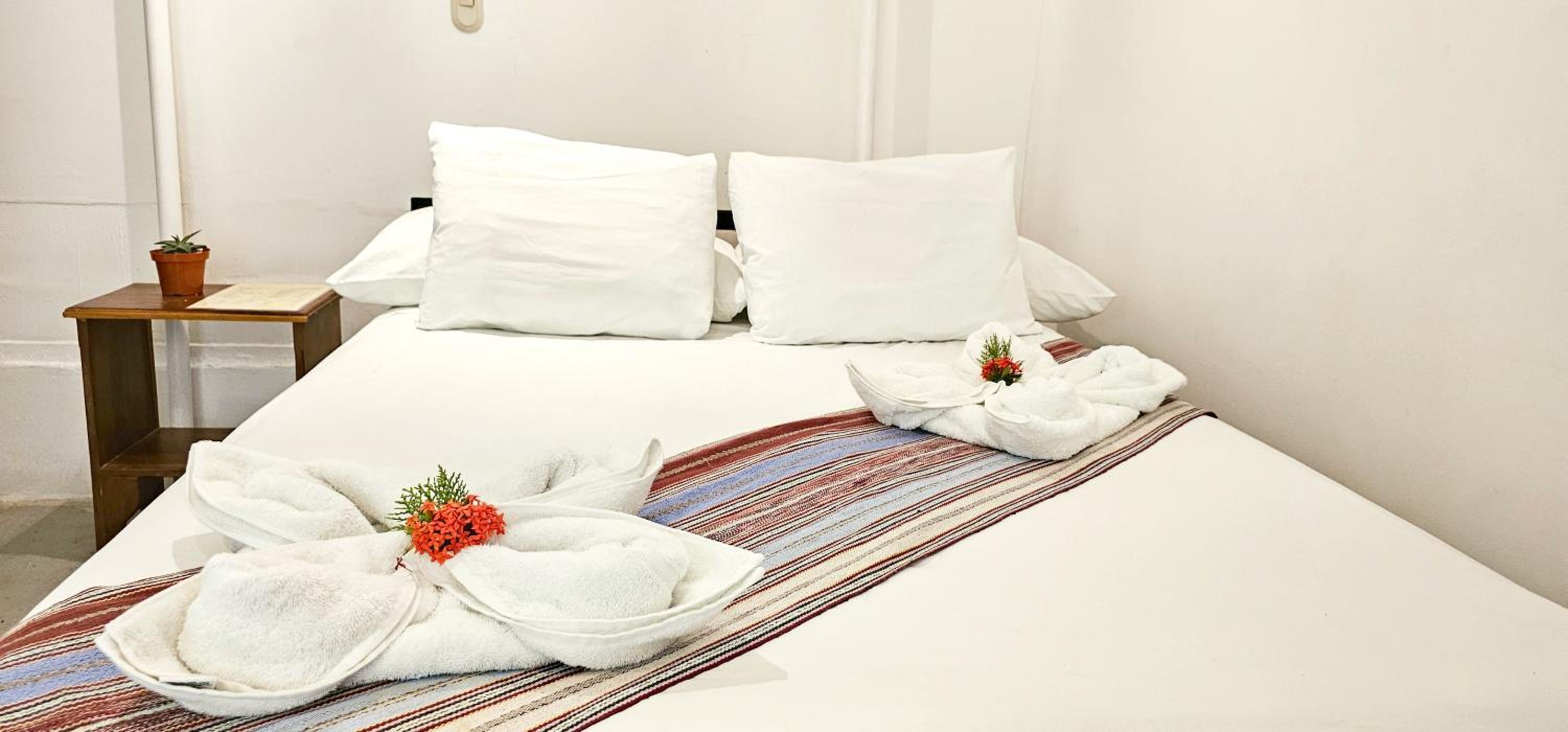 Casa Oro Eco Hostel