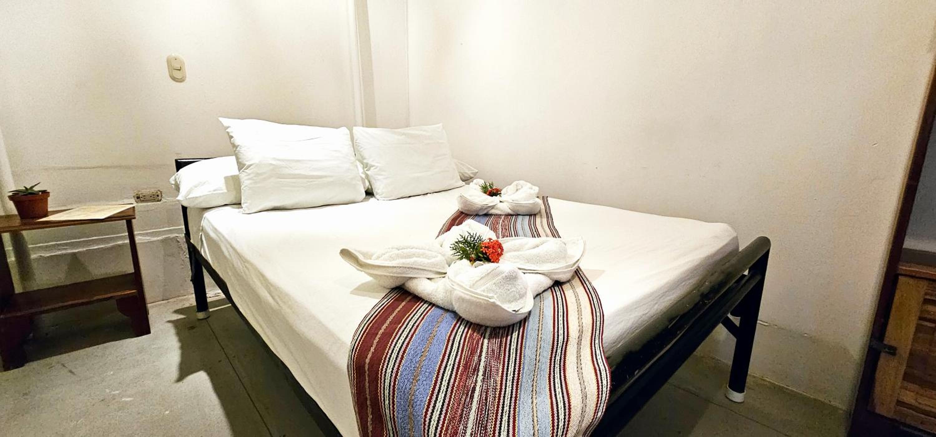 Casa Oro Eco Hostel