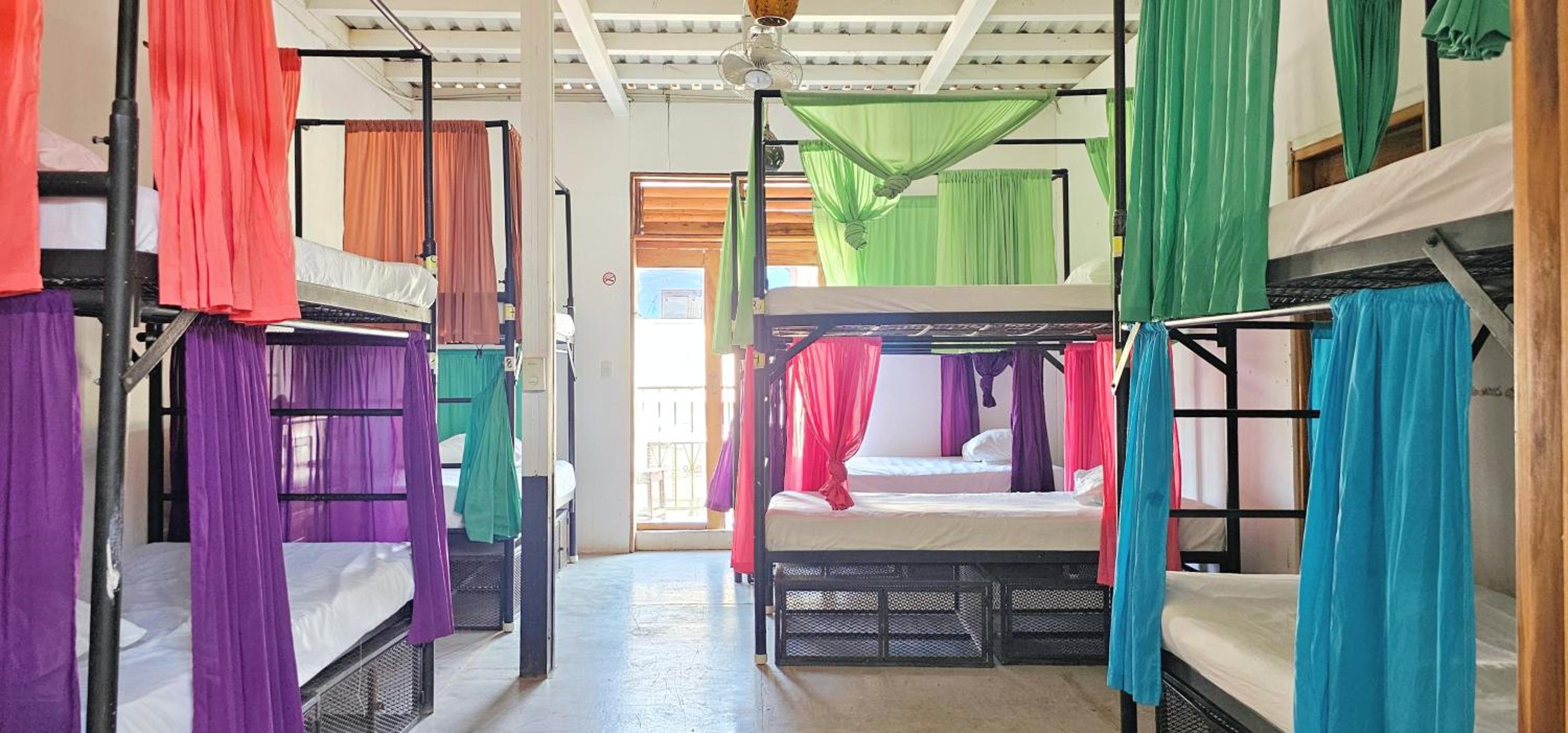 Casa Oro Eco Hostel