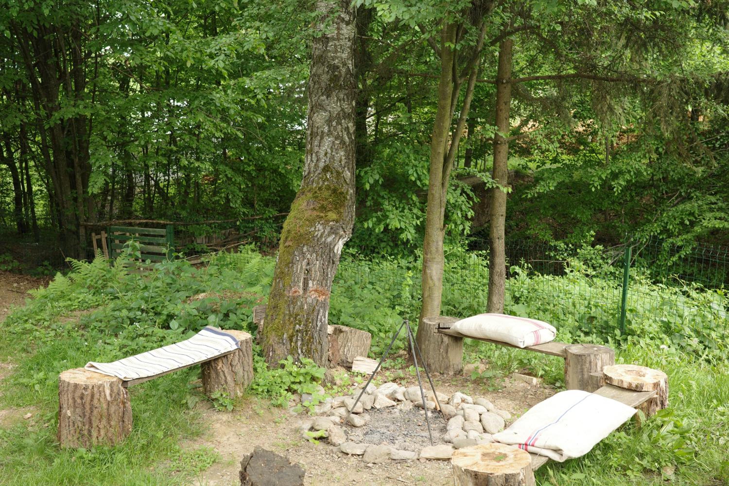 Photo 40