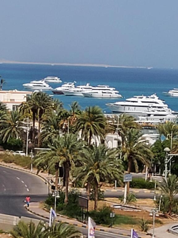 Egypt Traveler Hotel
