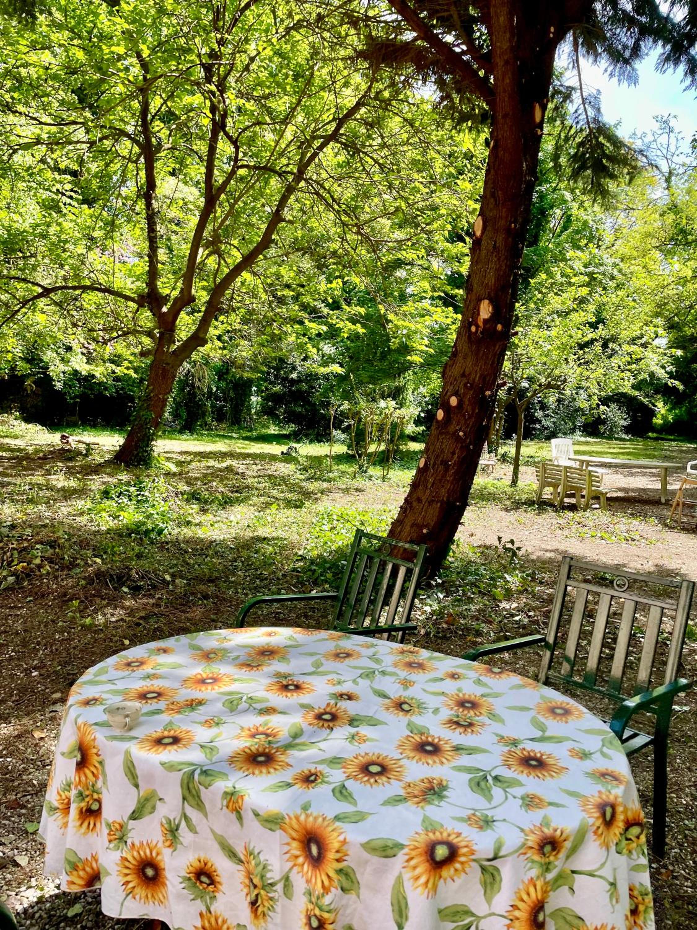 Private villa in the park close to Venice, photo 7