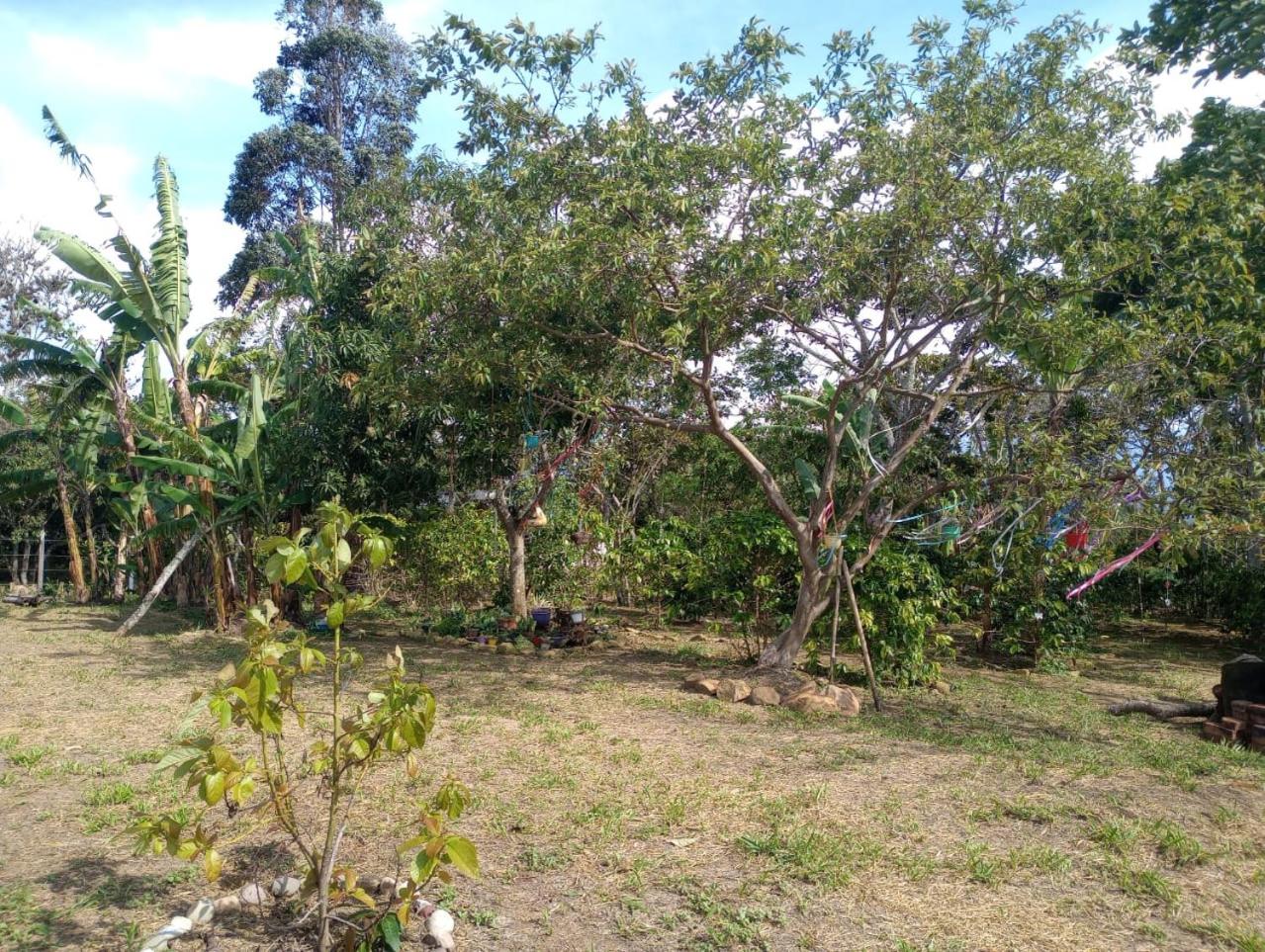 Casa Amatista Curiti