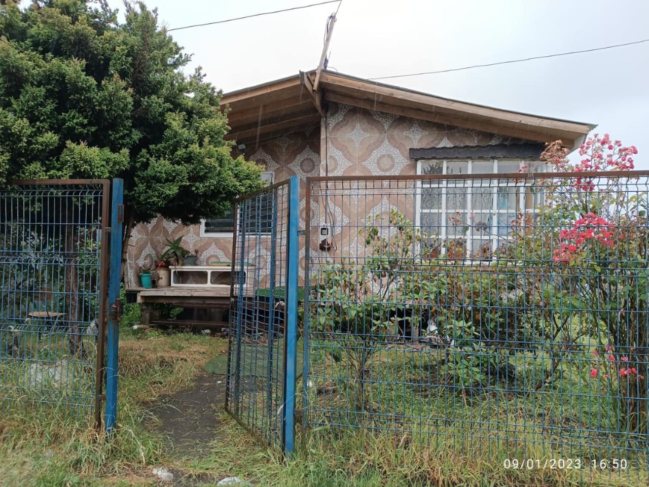 Cabaña