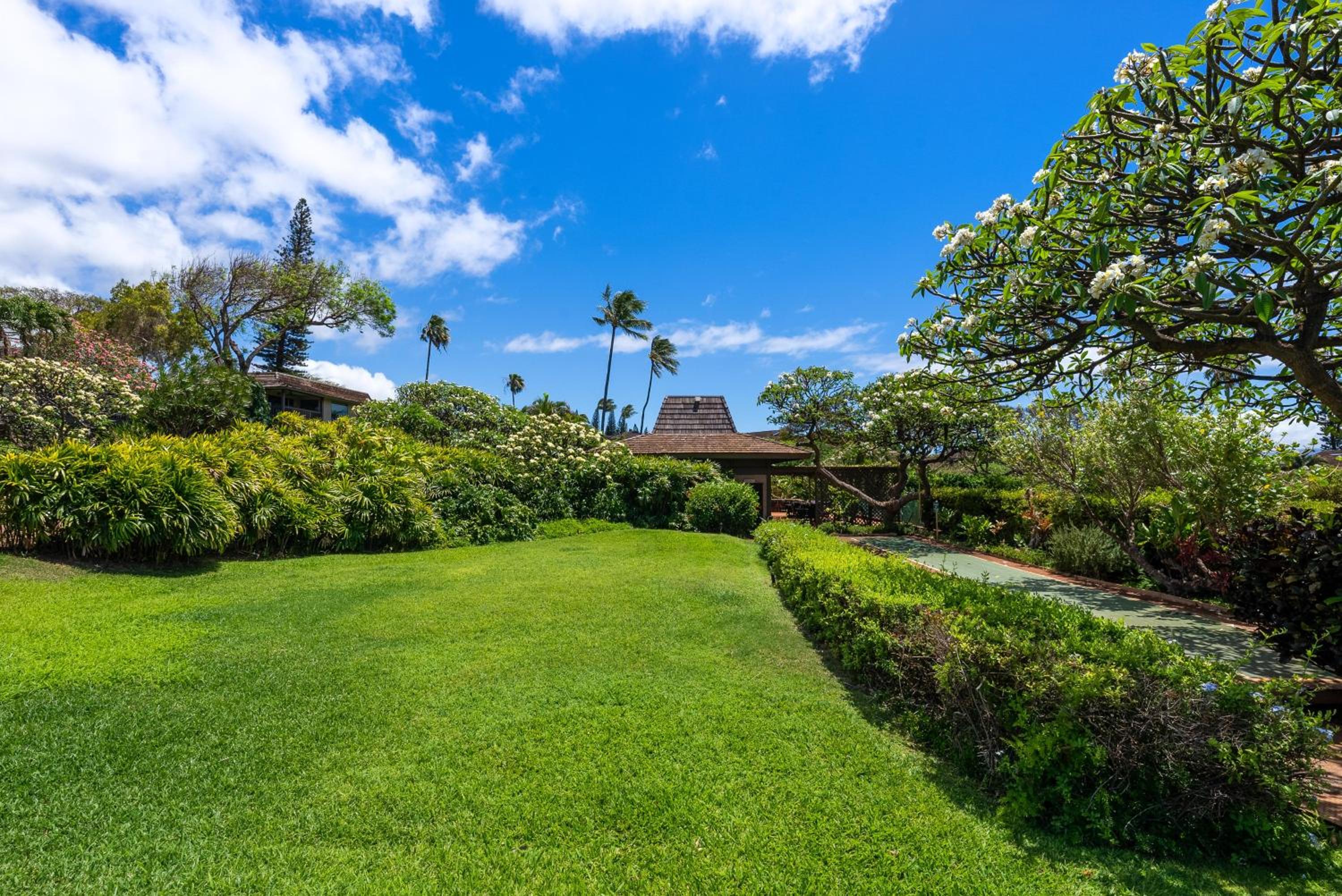 Kaanapali Plantation 9 · KPL 9 Panoramic Ocean Views Kaanapali N view 4