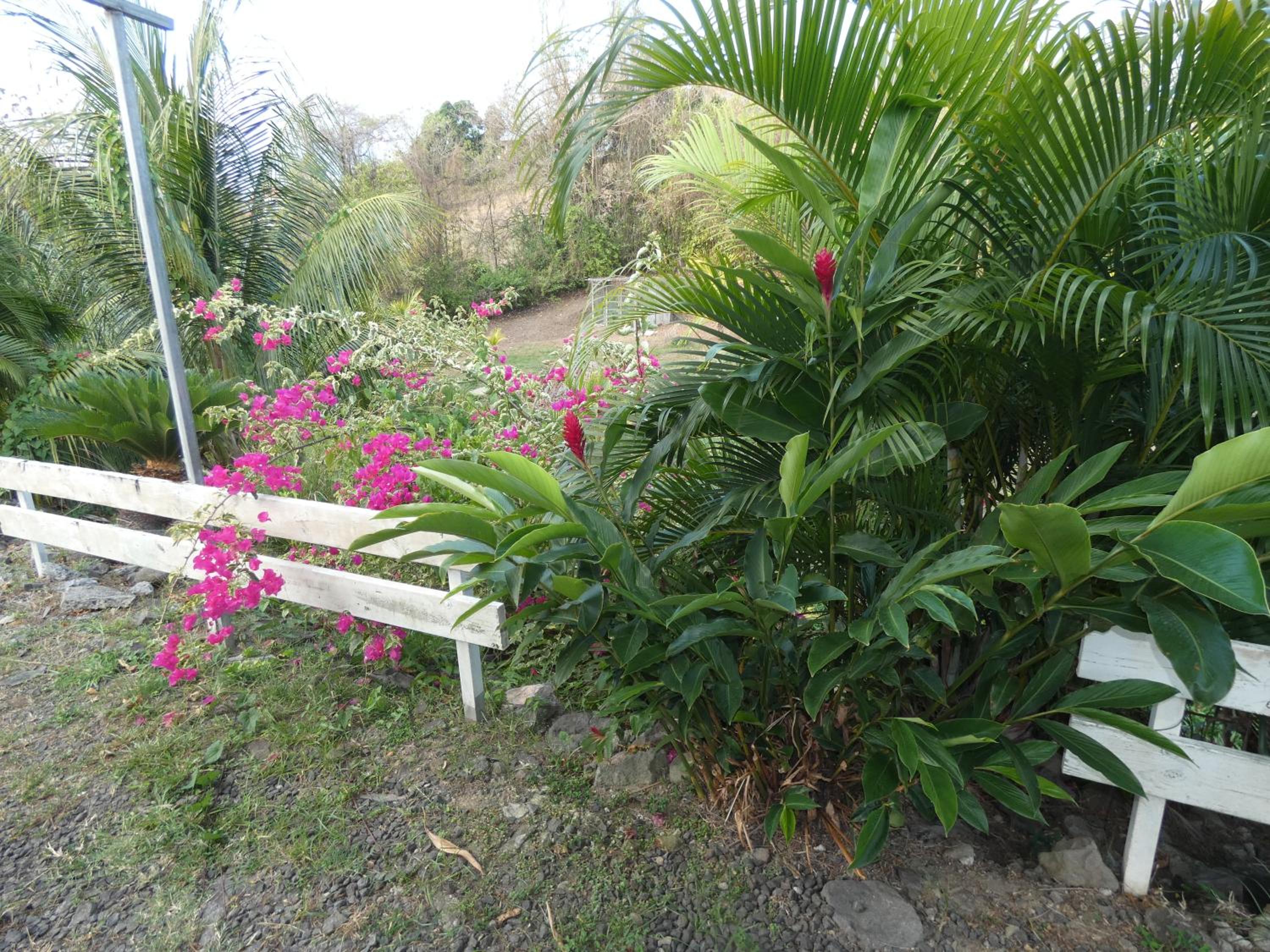 Photo 46