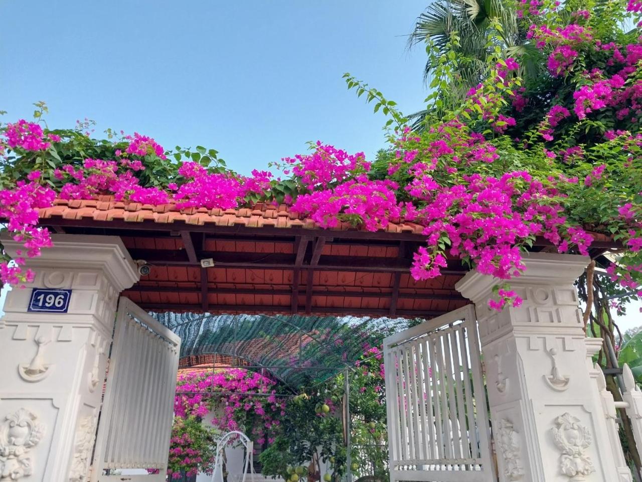 Nha Xanh Homestay view 4