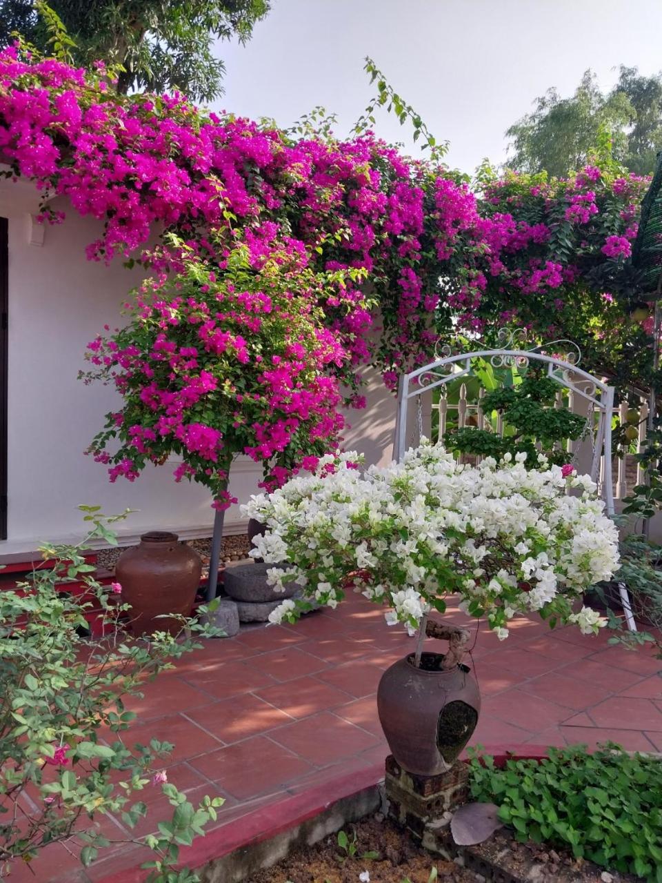 Nha Xanh Homestay view 3